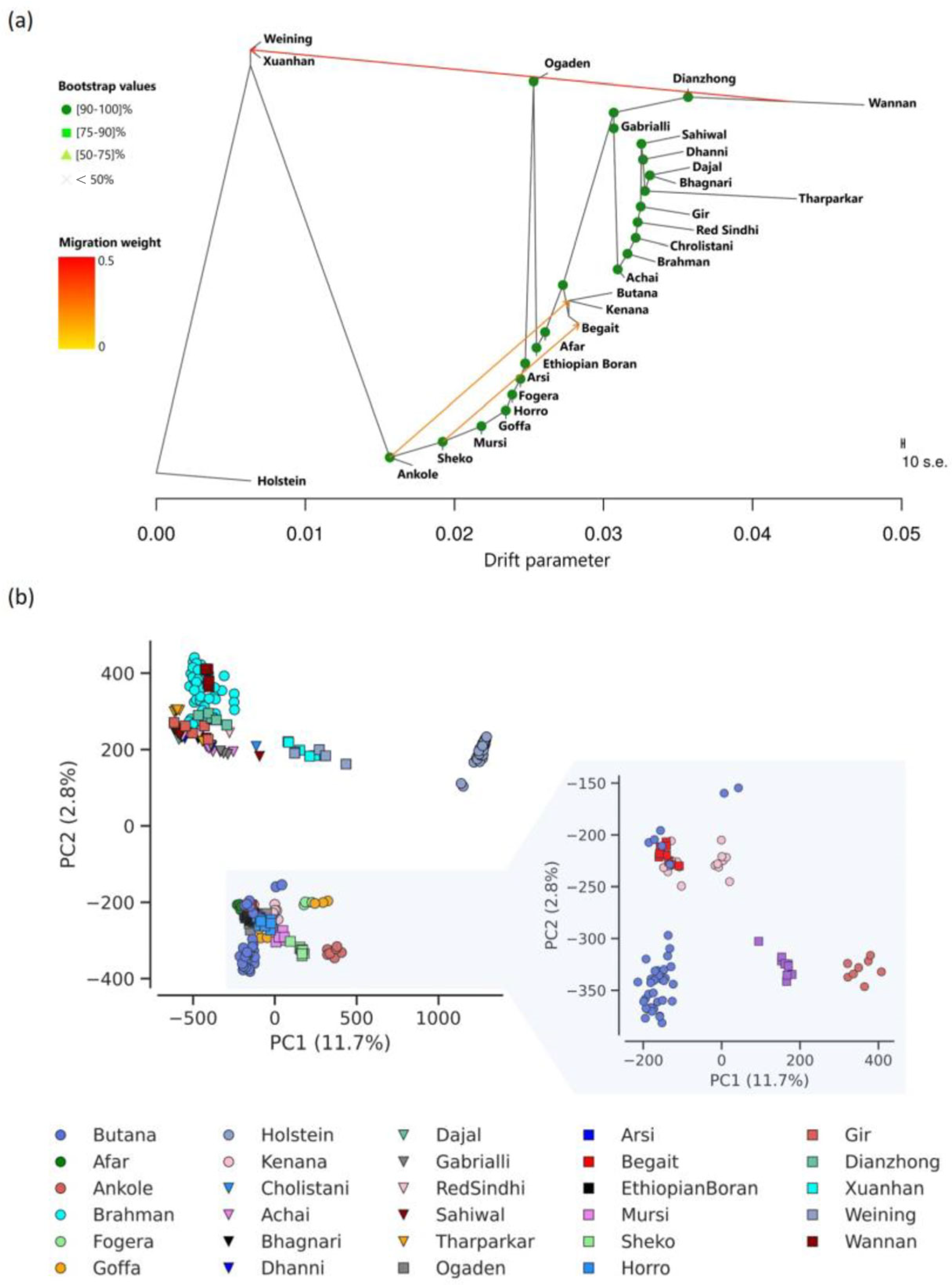 Genes 16 01429 g001 Genes 16 01429 g001