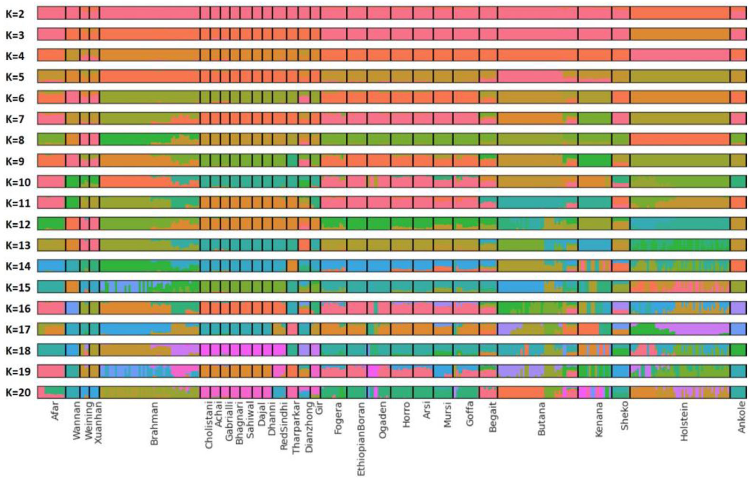 Genes 16 01429 g002 Genes 16 01429 g002