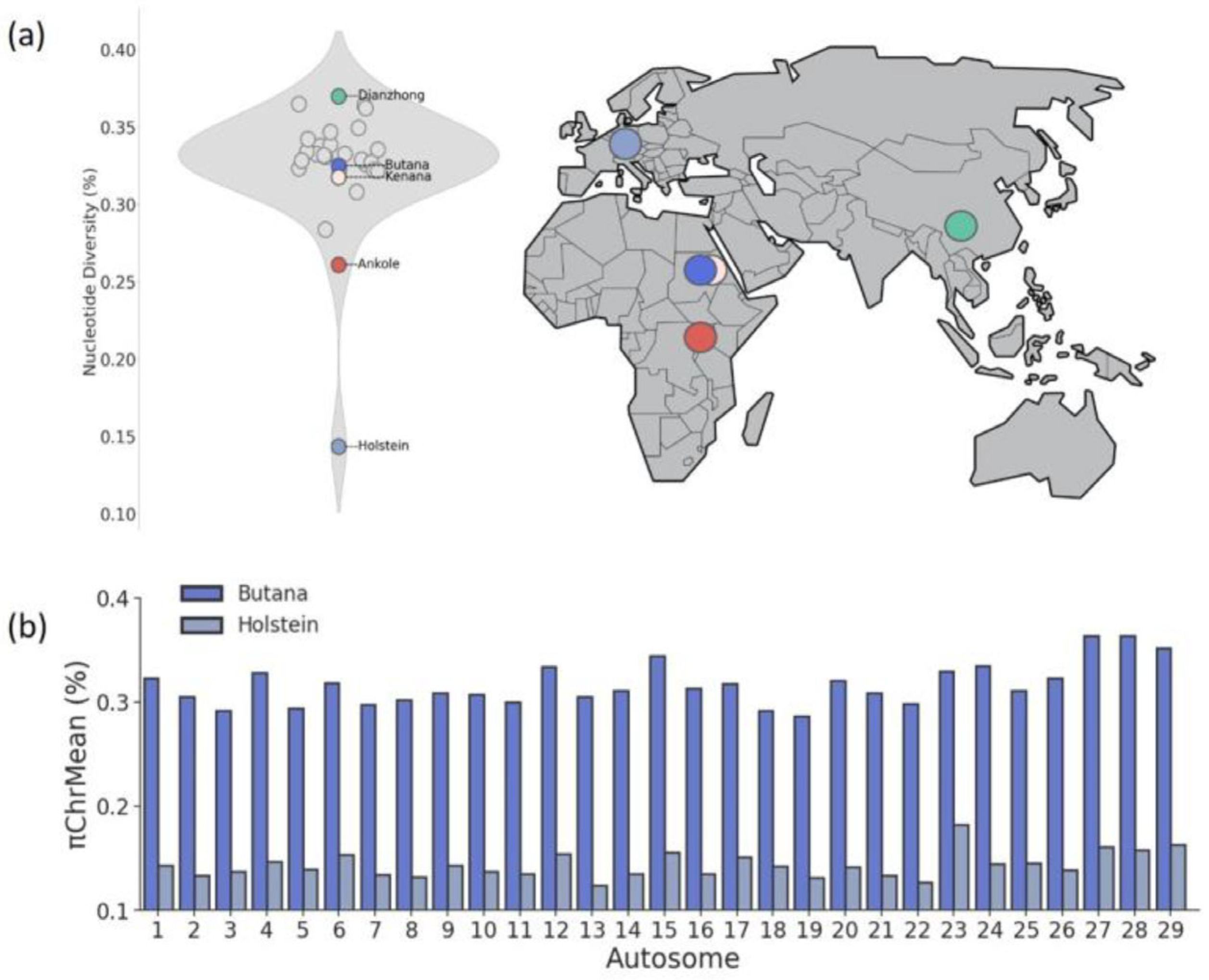 Genes 16 01429 g003 Genes 16 01429 g003