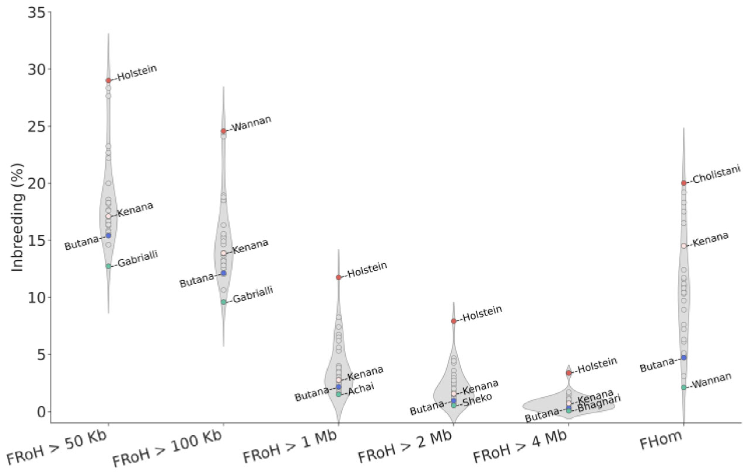 Genes 16 01429 g004 Genes 16 01429 g004