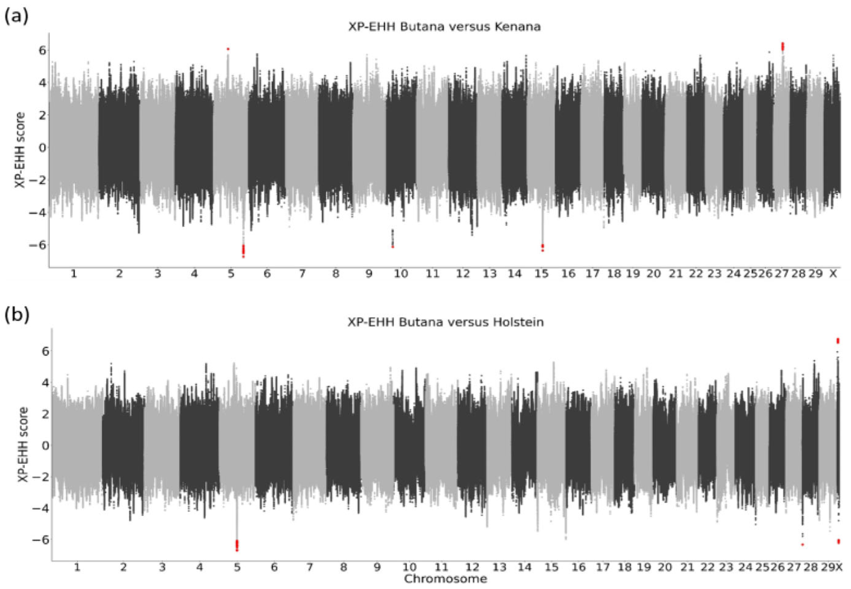 Genes 16 01429 g006 Genes 16 01429 g006