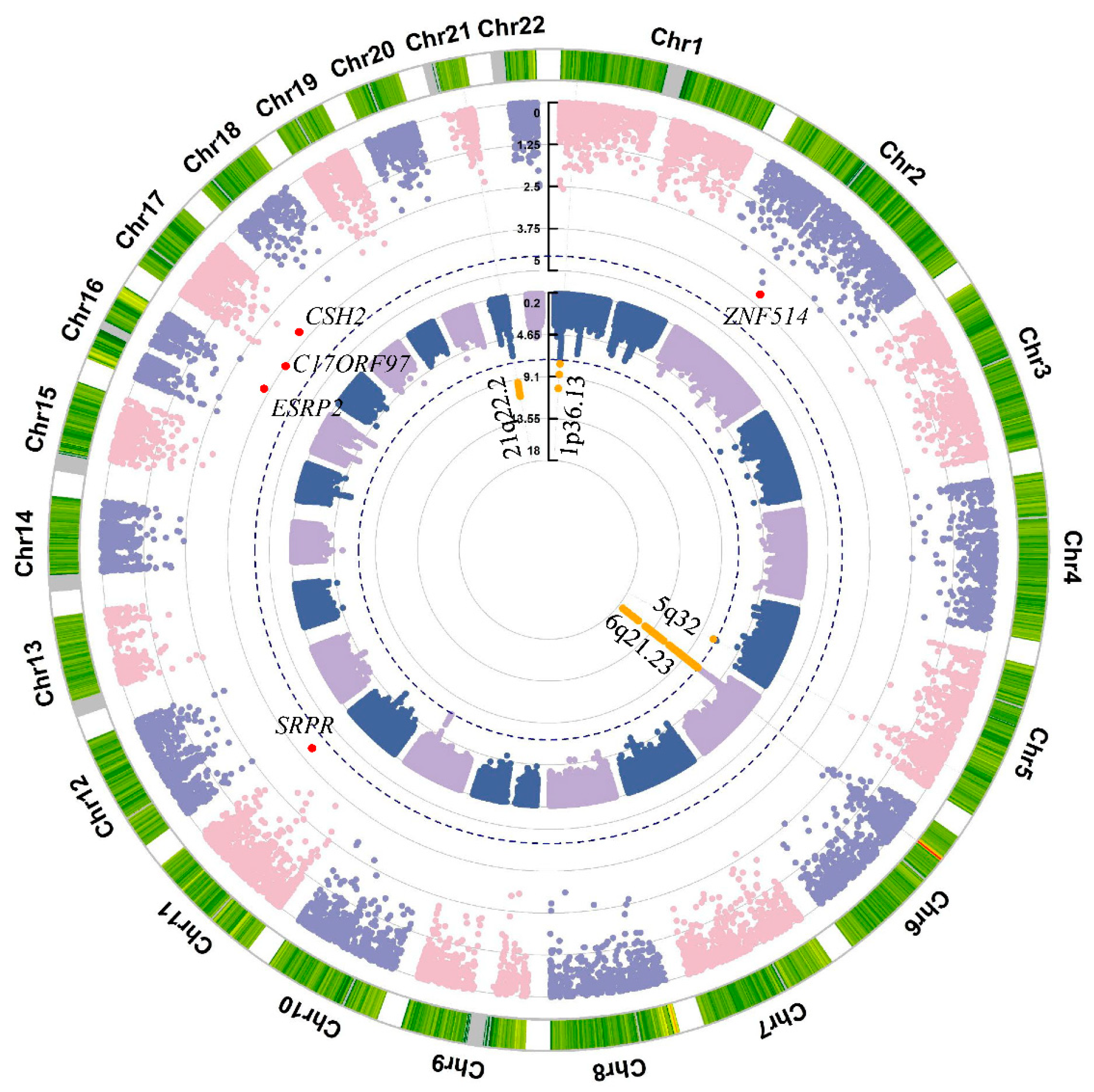 Genes 16 01431 g002