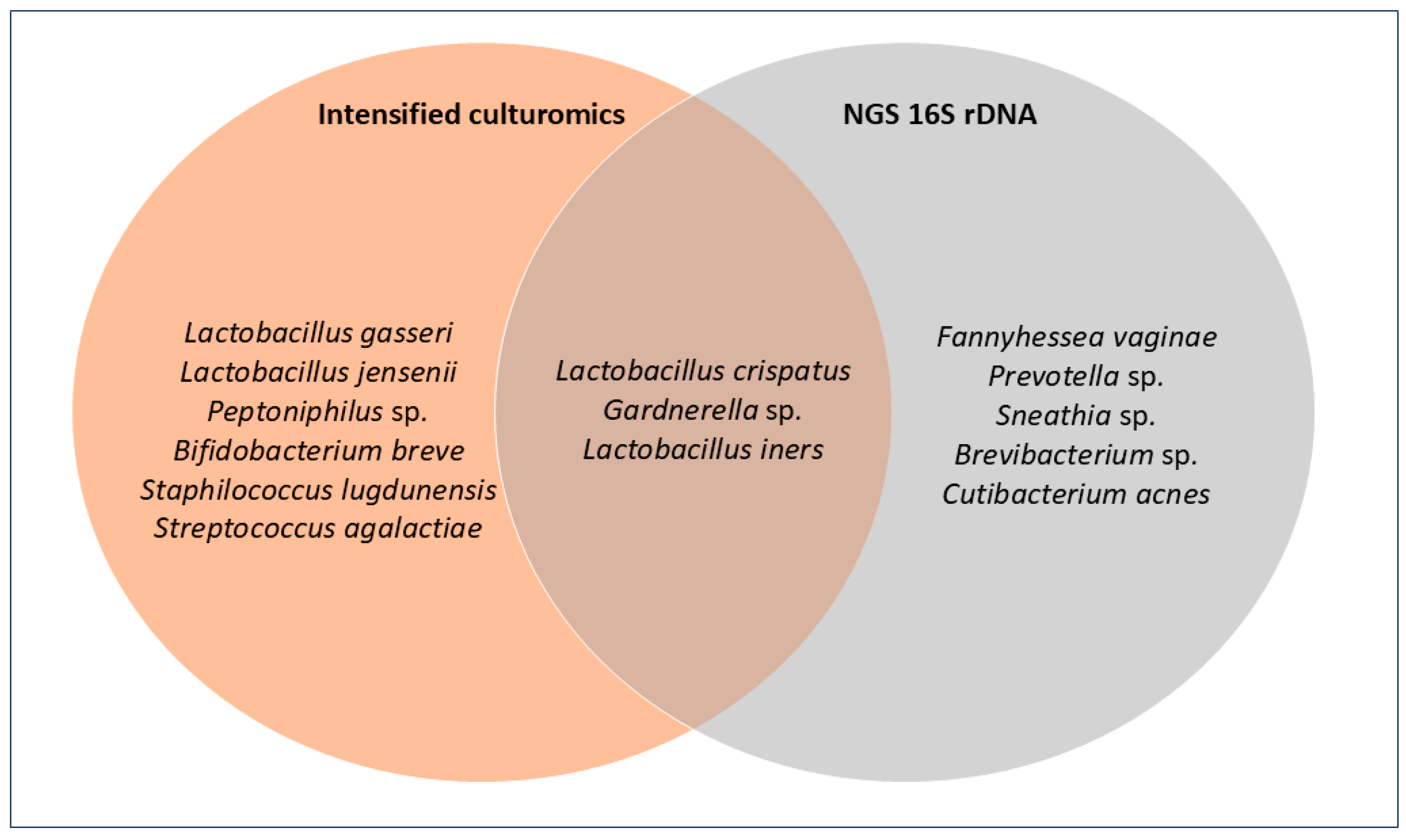 Genes 16 01432 g003 Genes 16 01432 g003