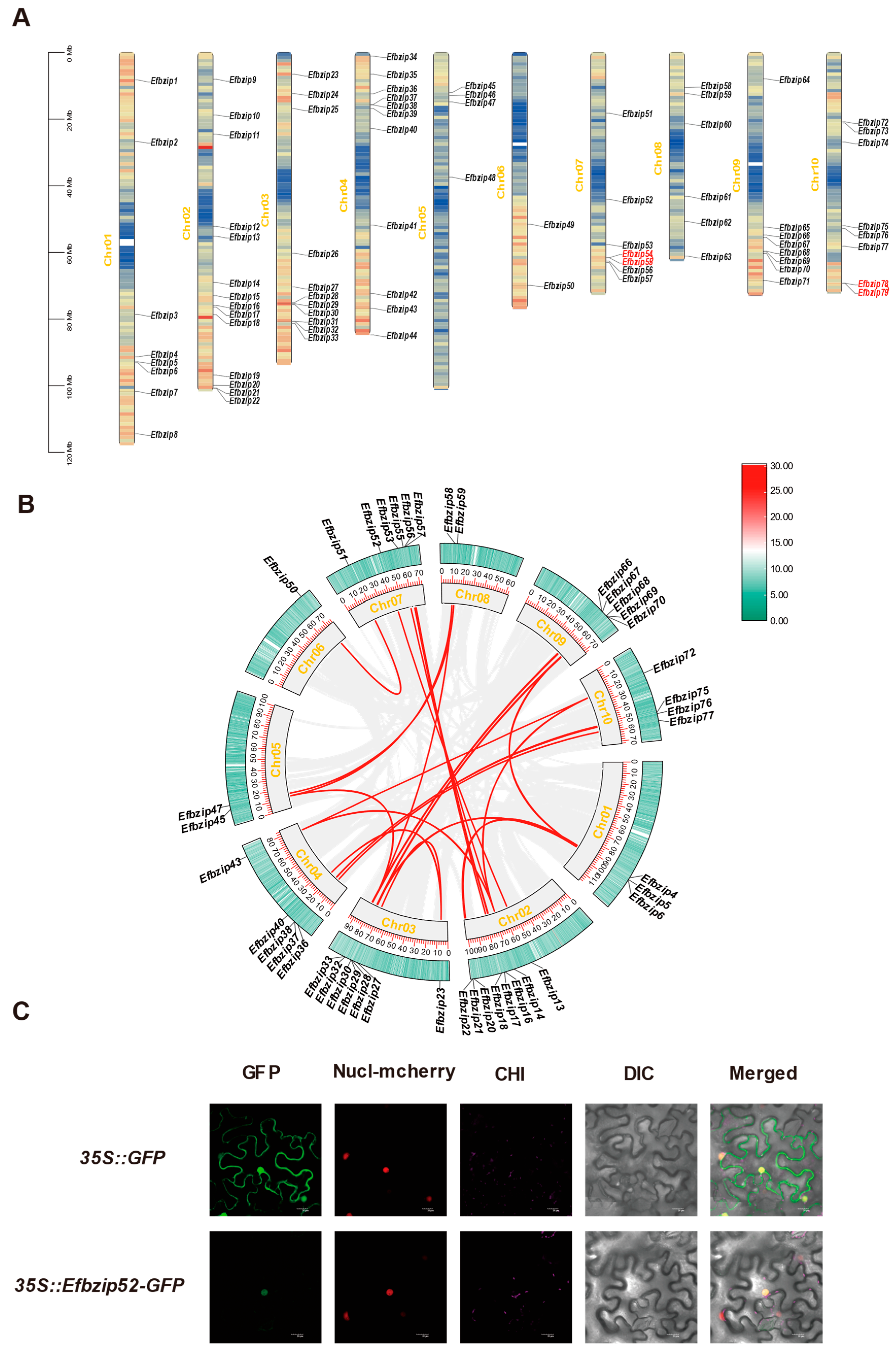 Genes 16 01434 g001