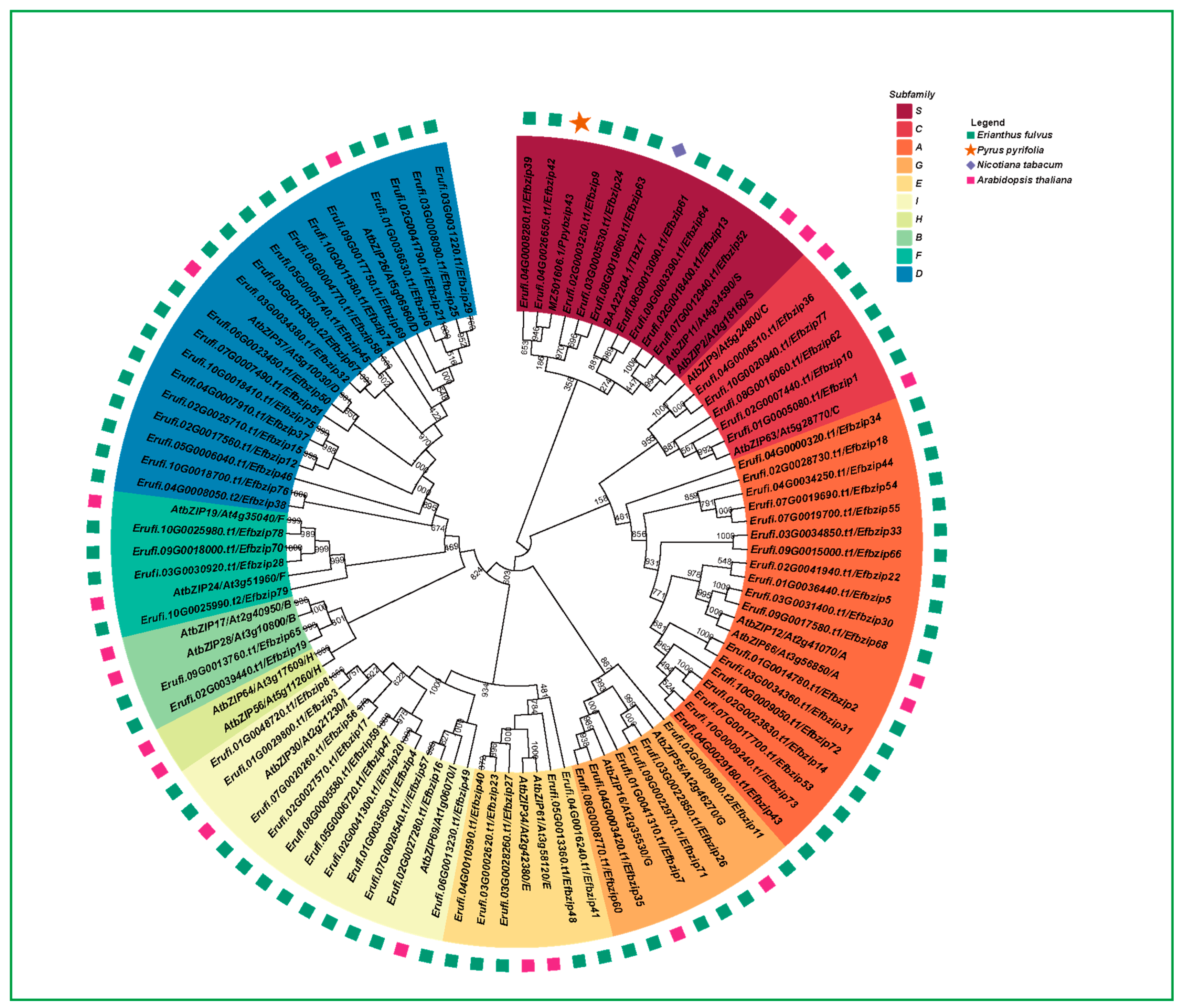 Genes 16 01434 g002