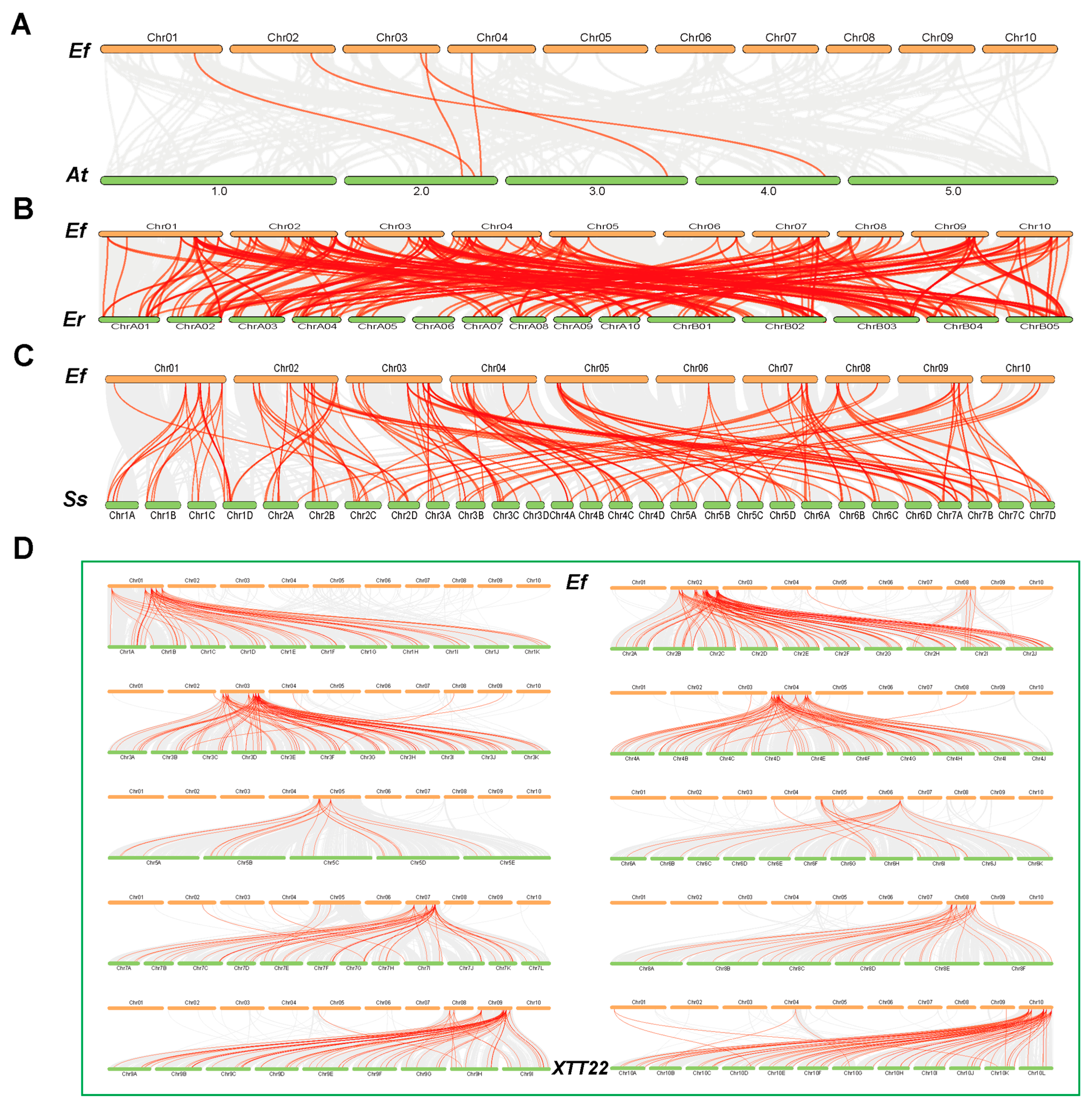 Genes 16 01434 g005