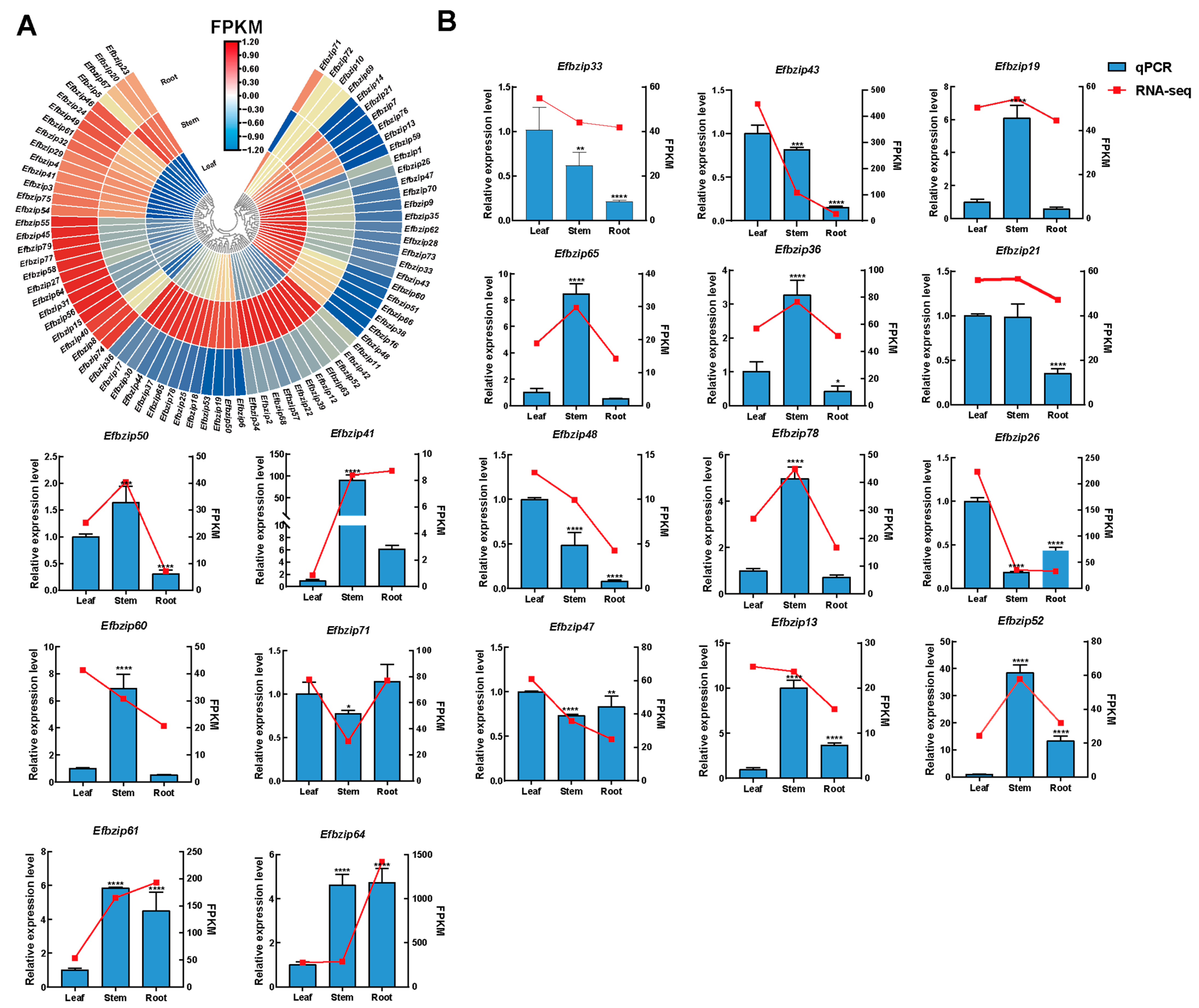 Genes 16 01434 g006