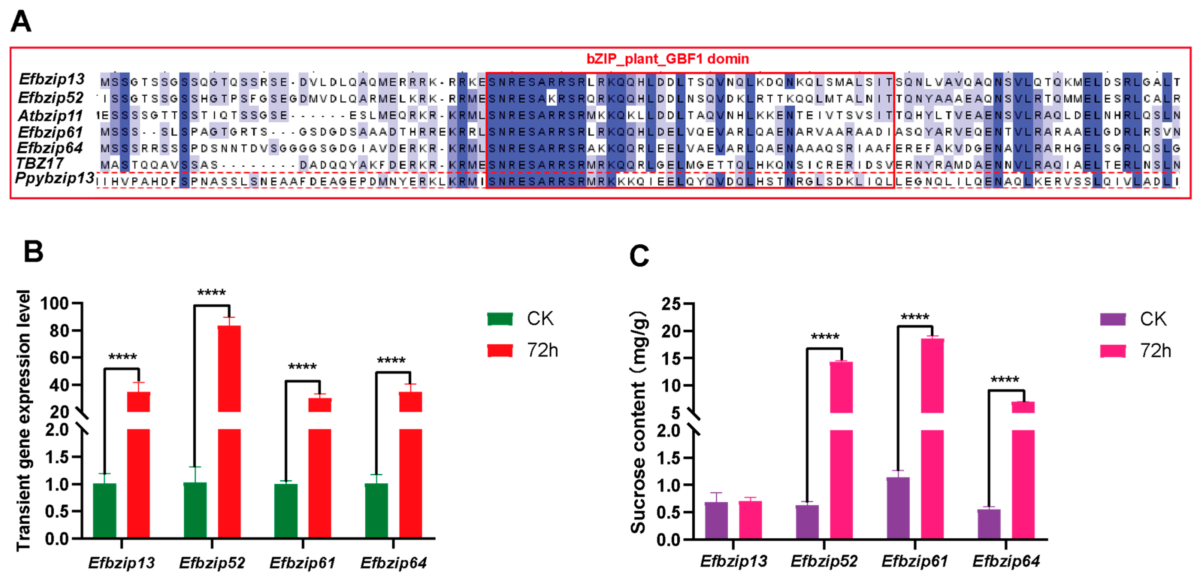 Genes 16 01434 g007