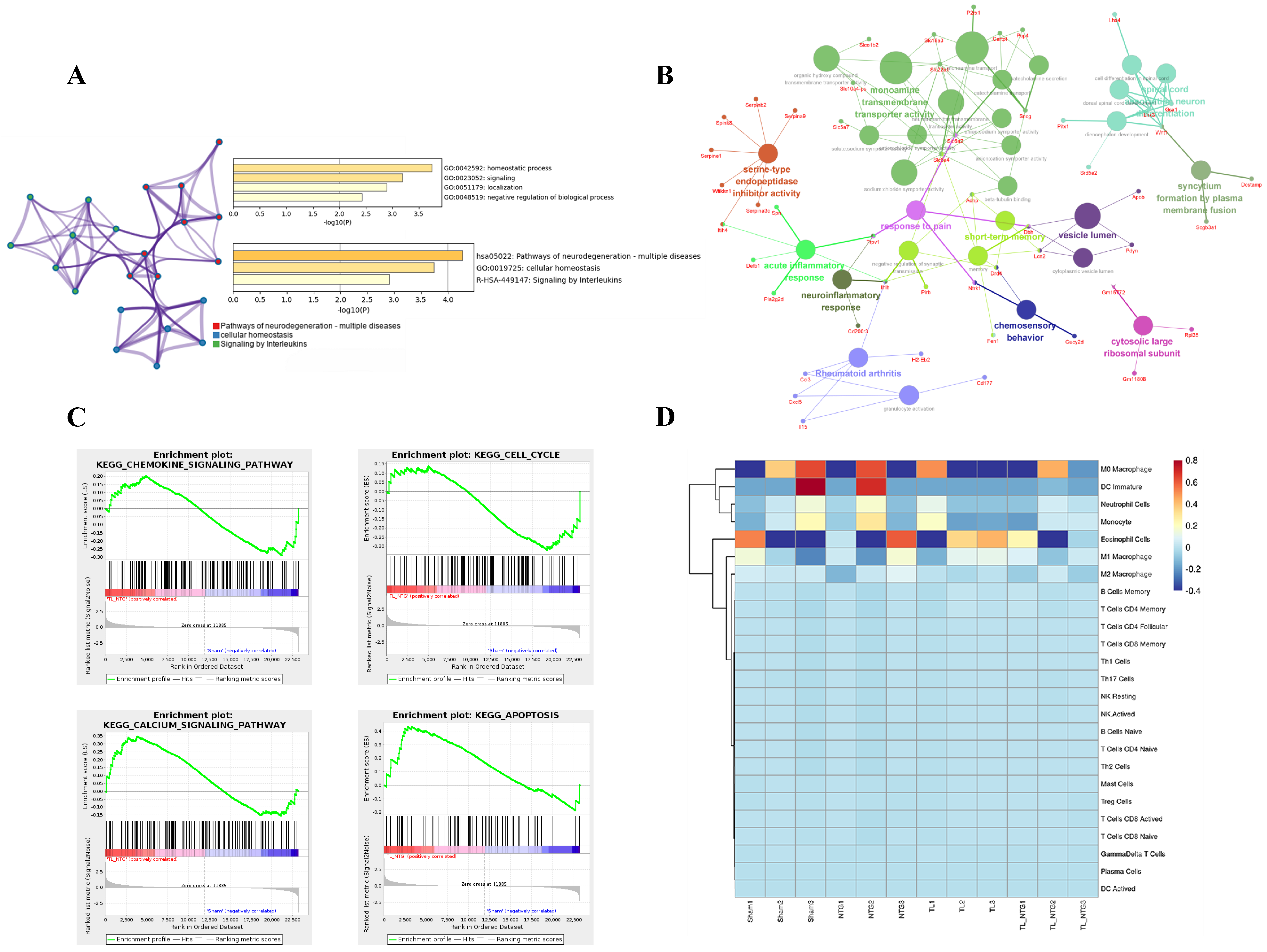 Genes 16 01435 g002 Genes 16 01435 g002