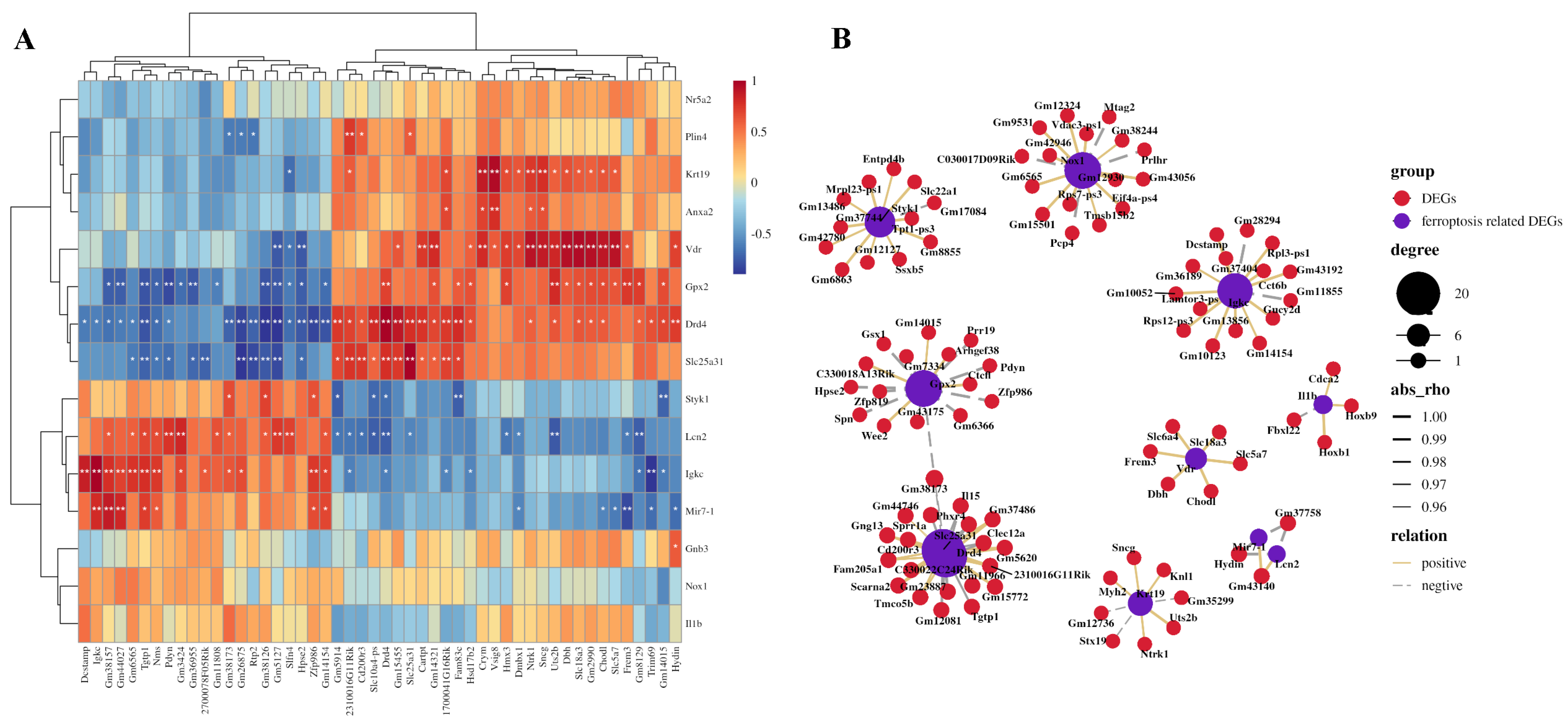 Genes 16 01435 g004 Genes 16 01435 g004