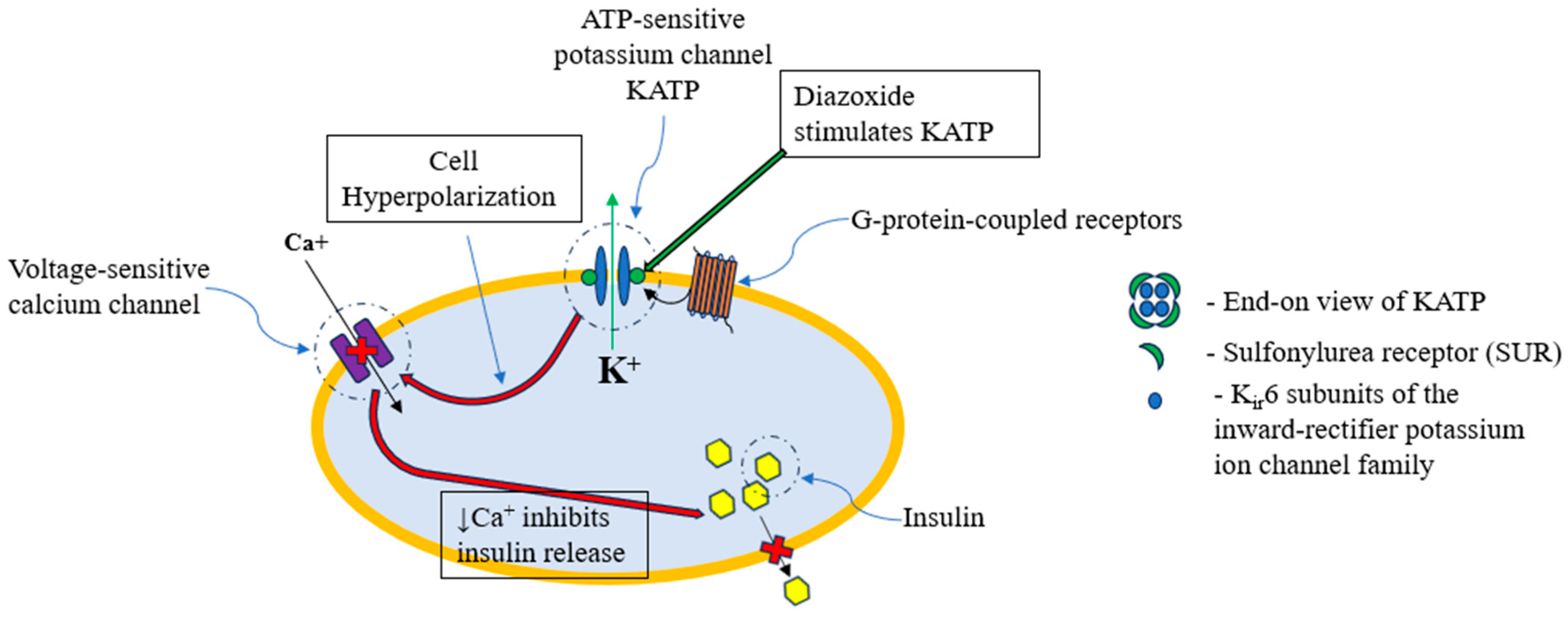 Genes 16 01436 g001 Genes 16 01436 g001