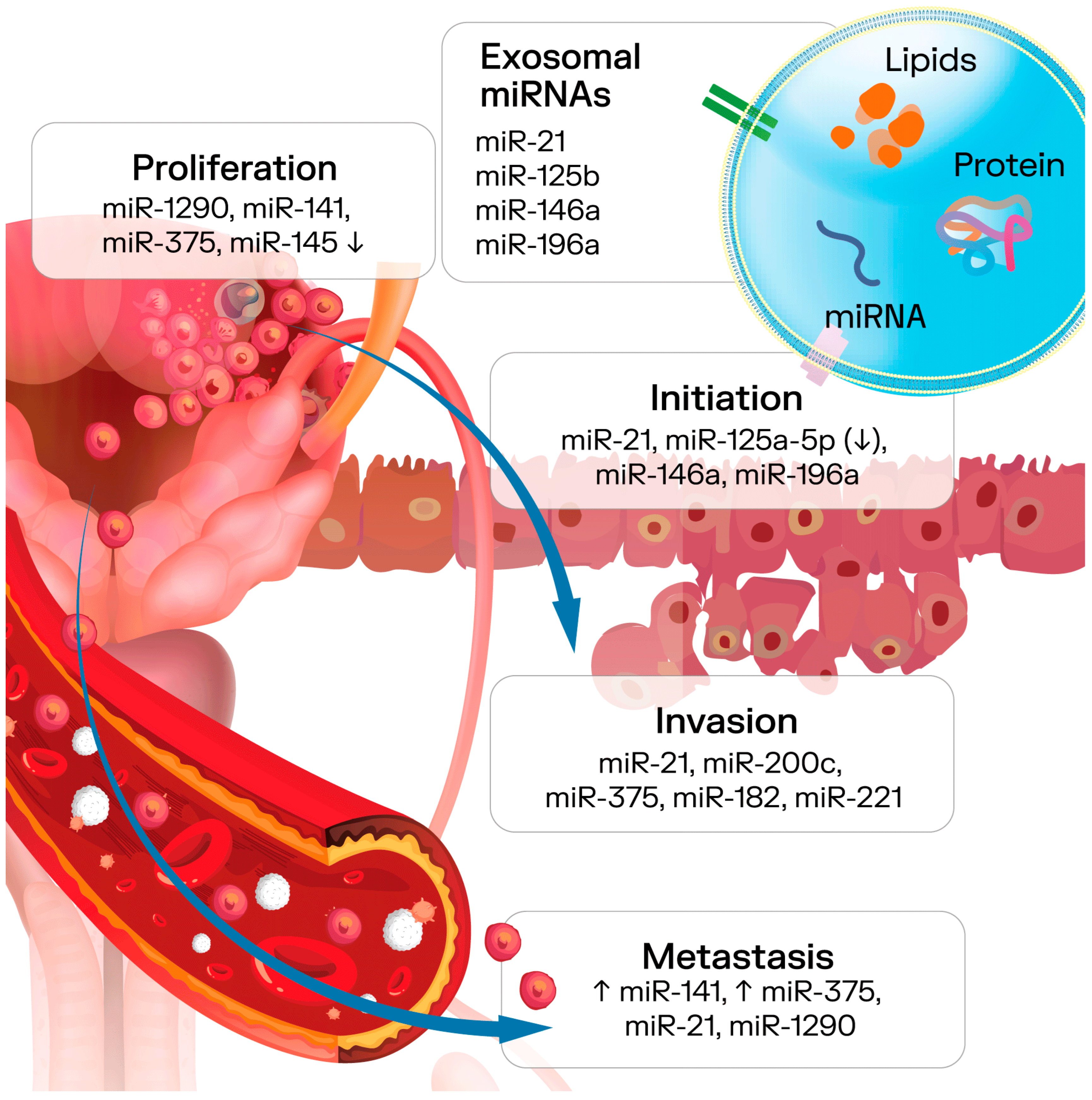 Genes 16 01437 g003 Genes 16 01437 g003