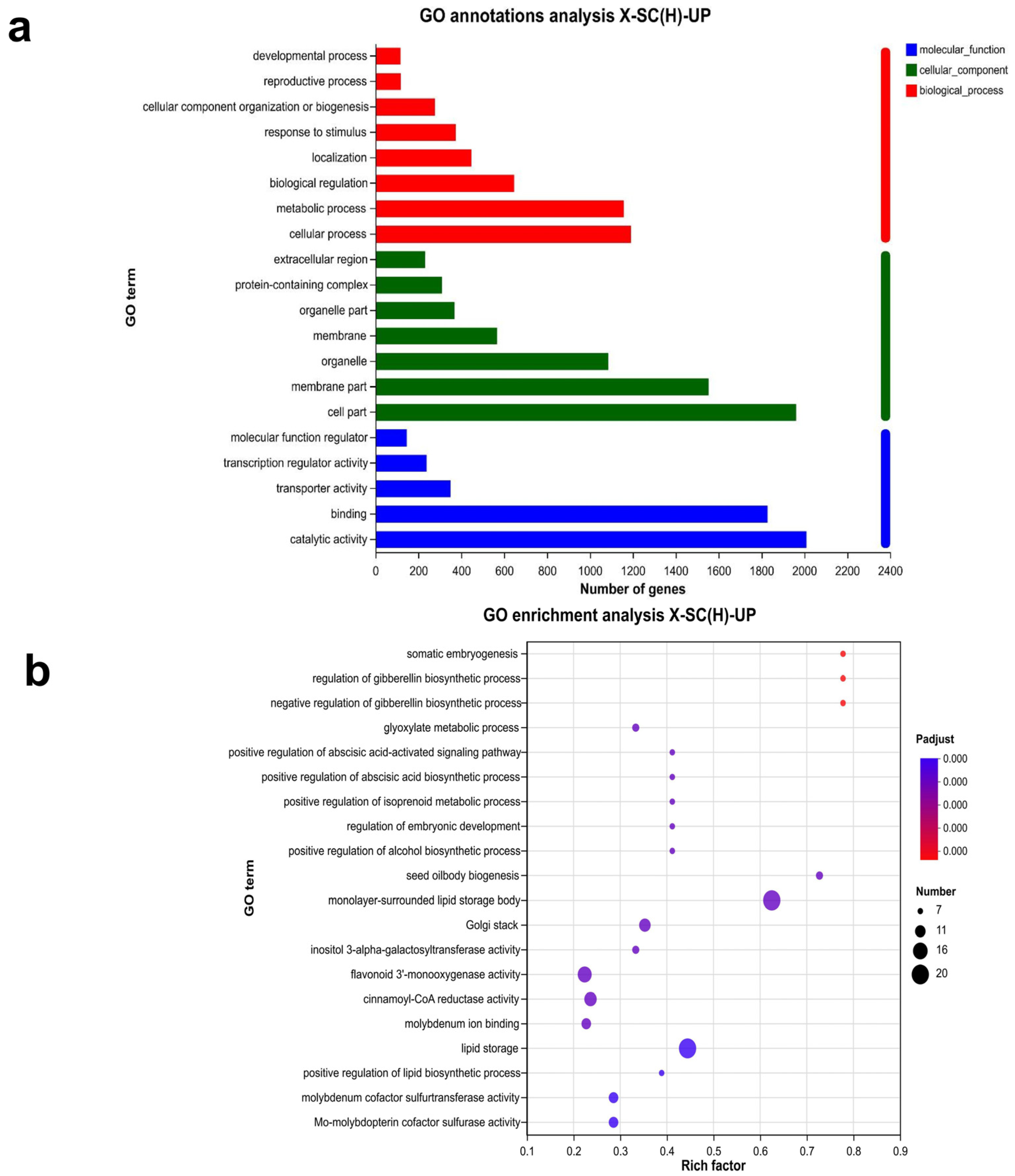 Genes 16 01438 g002 Genes 16 01438 g002