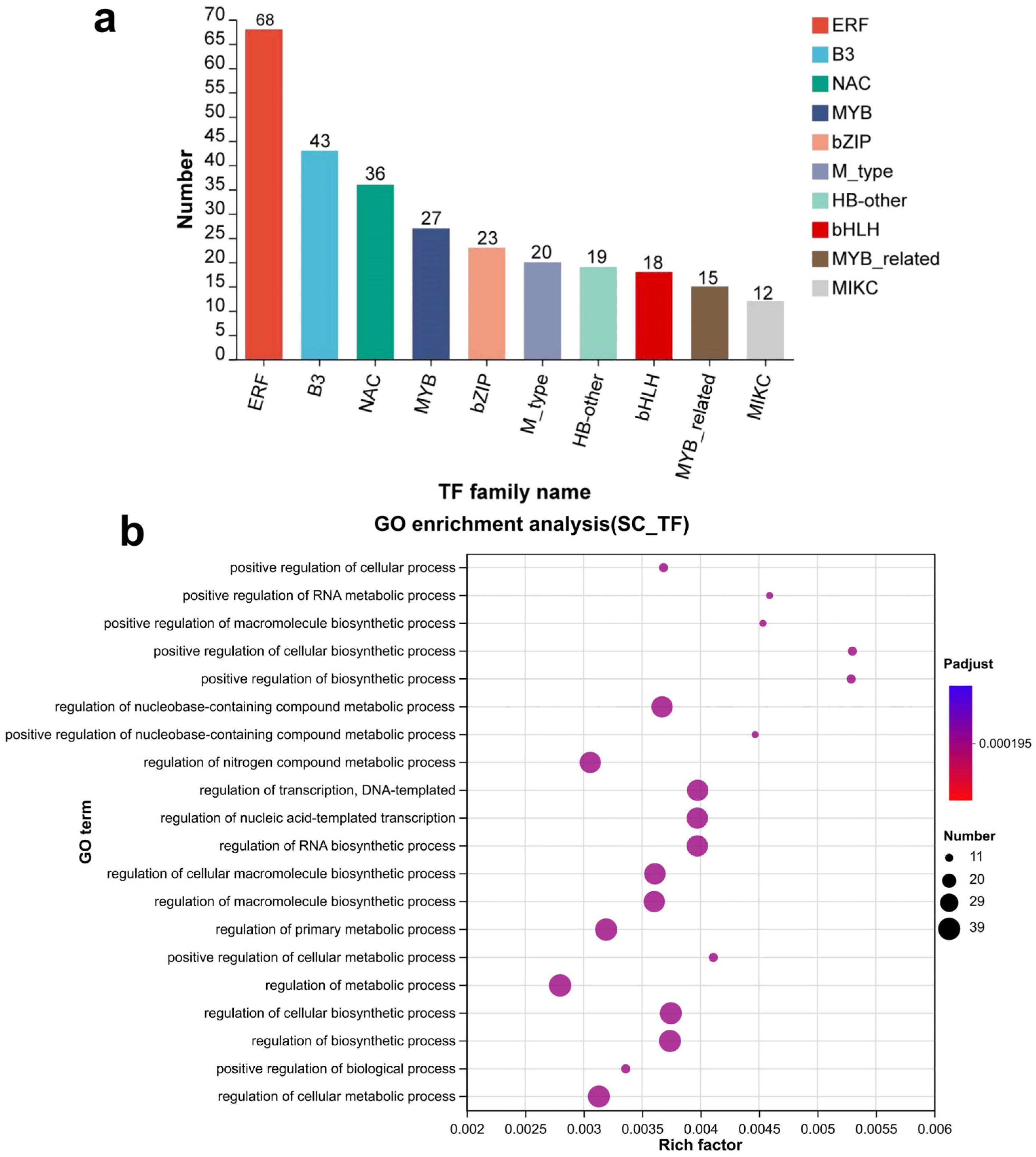Genes 16 01438 g003 Genes 16 01438 g003