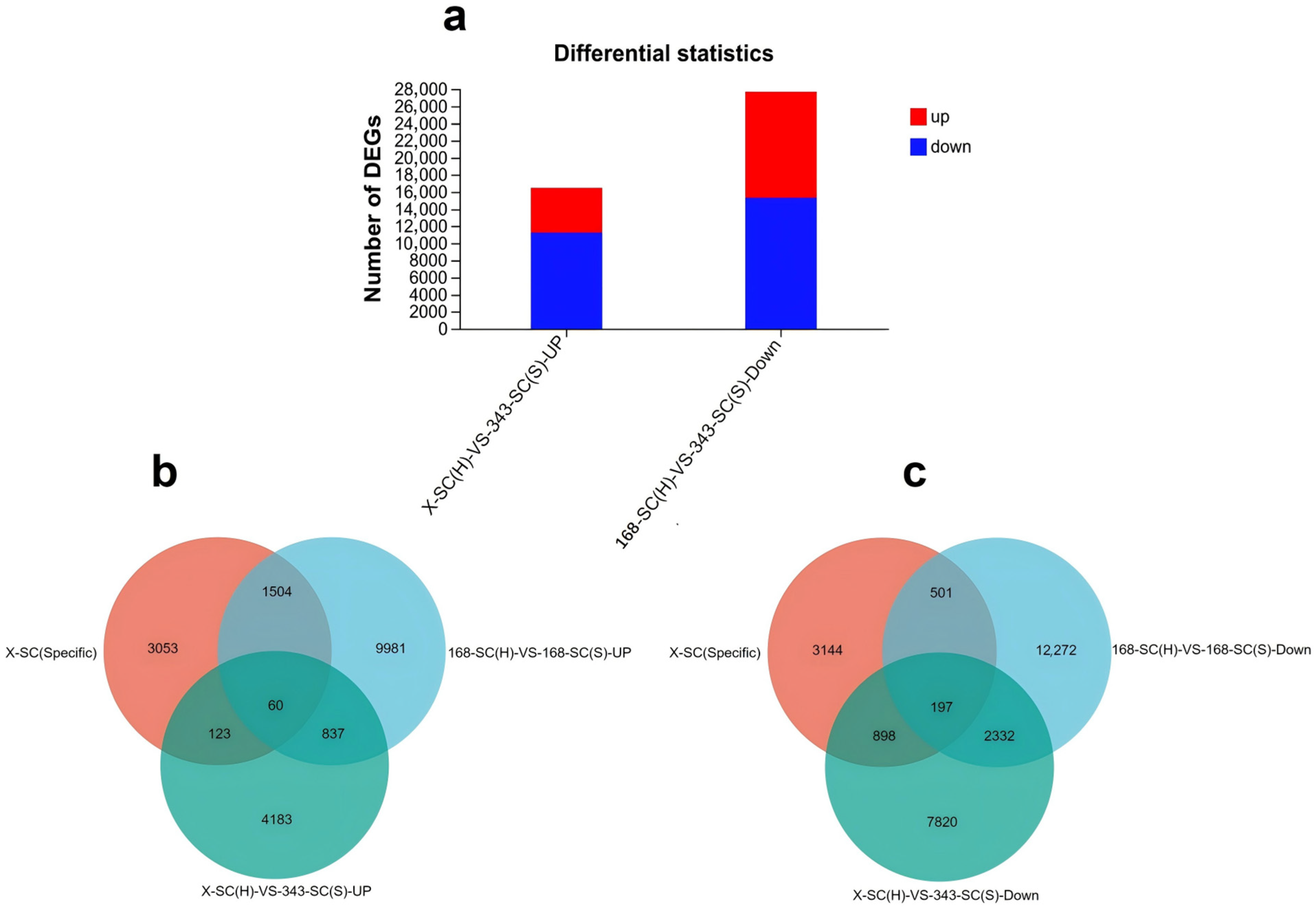 Genes 16 01438 g005 Genes 16 01438 g005