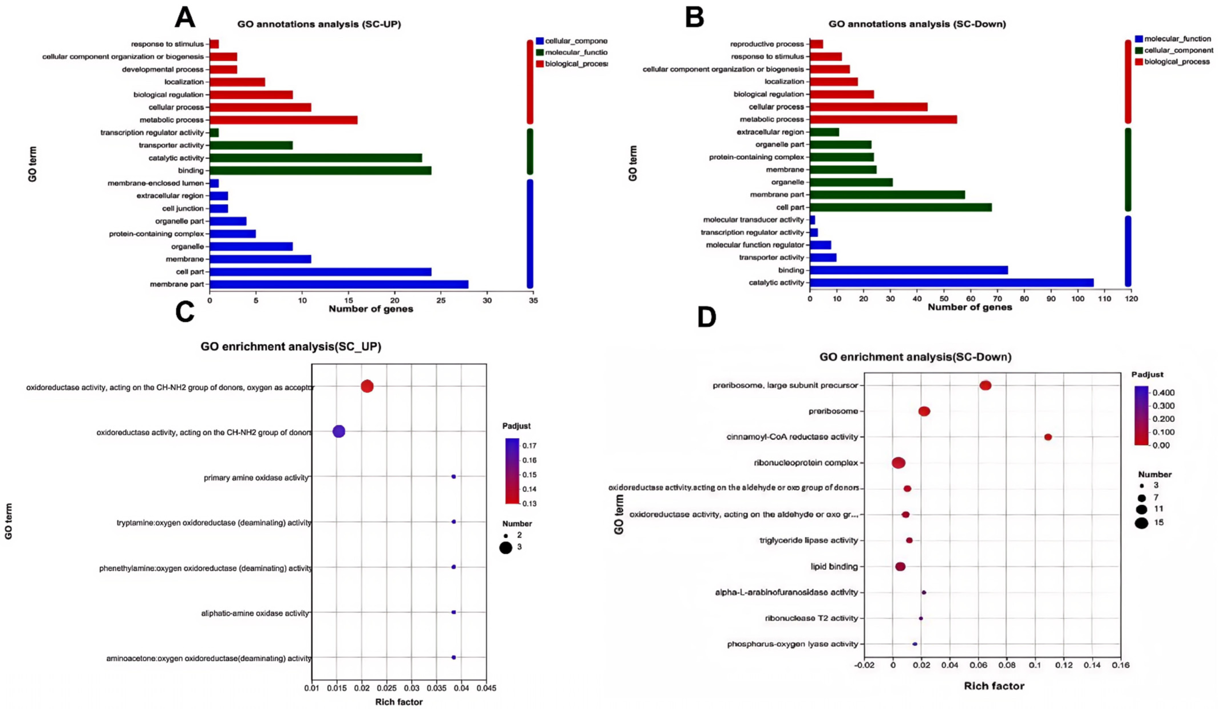Genes 16 01438 g006 Genes 16 01438 g006