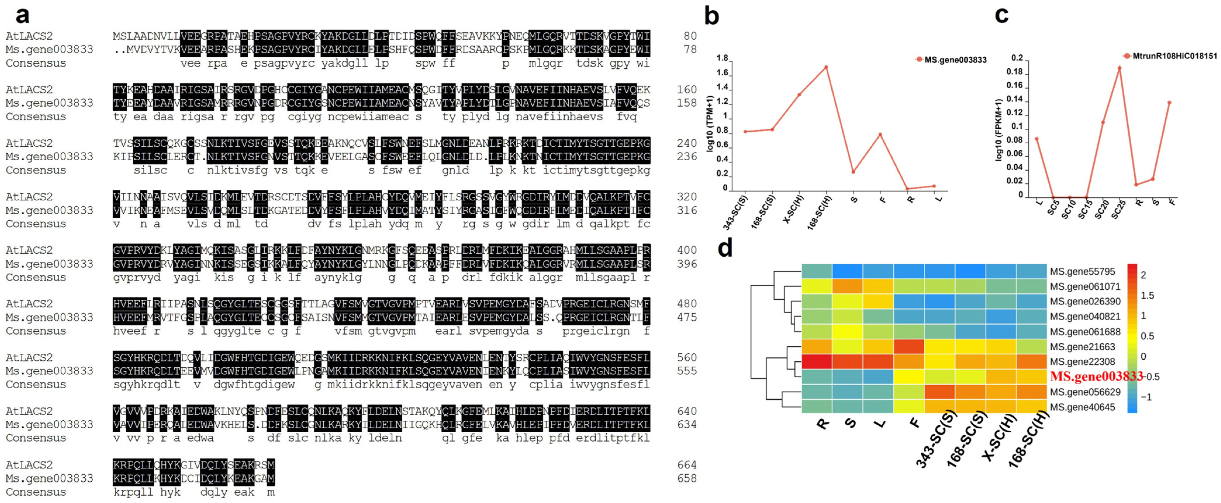 Genes 16 01438 g007 Genes 16 01438 g007