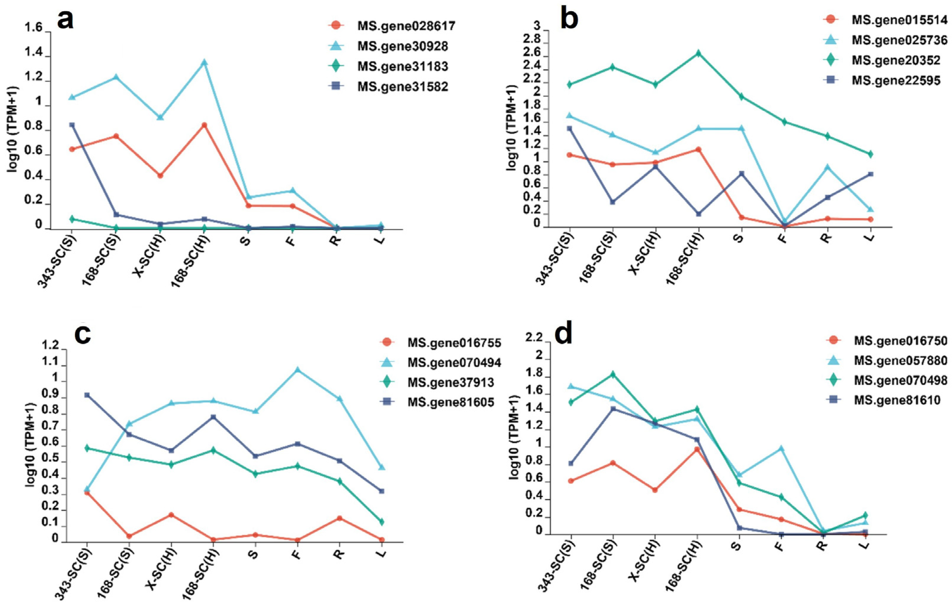 Genes 16 01438 g008 Genes 16 01438 g008