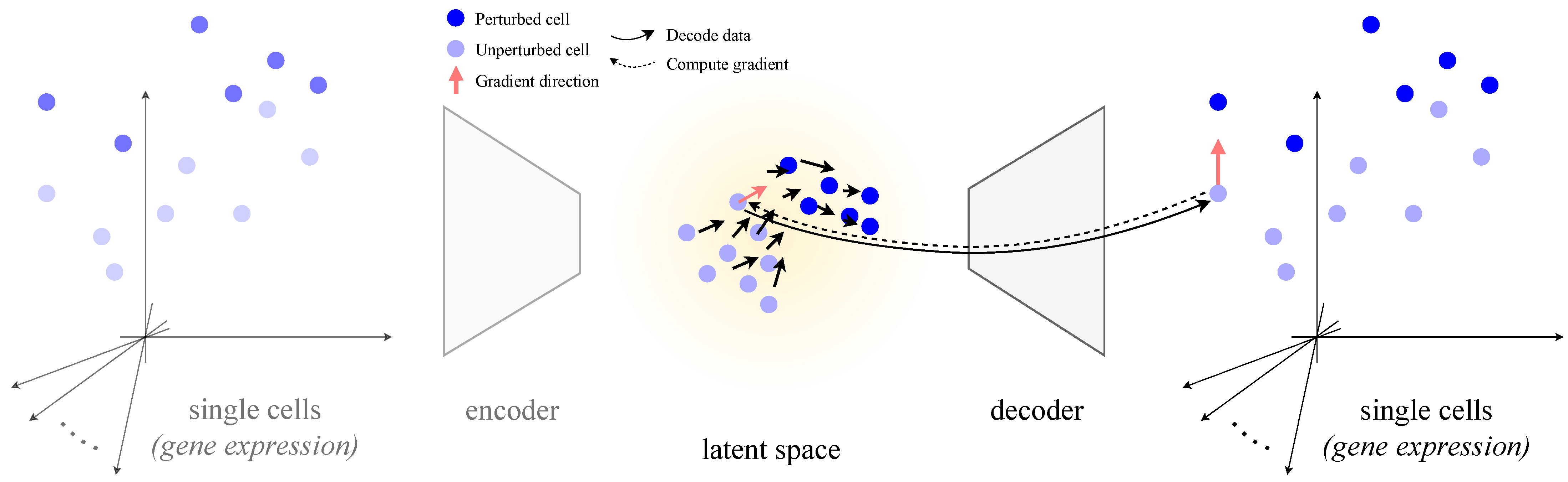 Genes 16 01439 g001 Genes 16 01439 g001