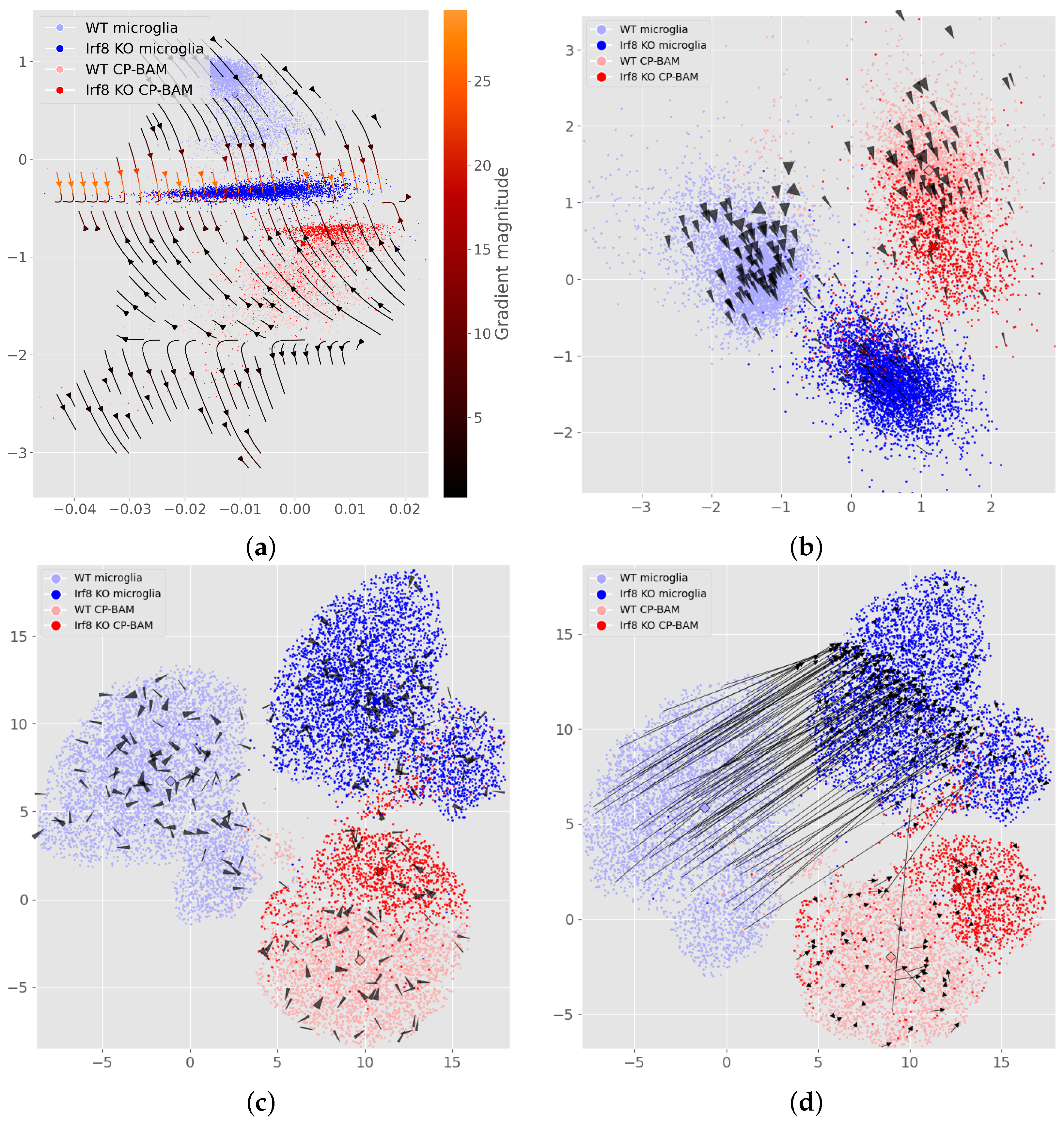Genes 16 01439 g002 Genes 16 01439 g002
