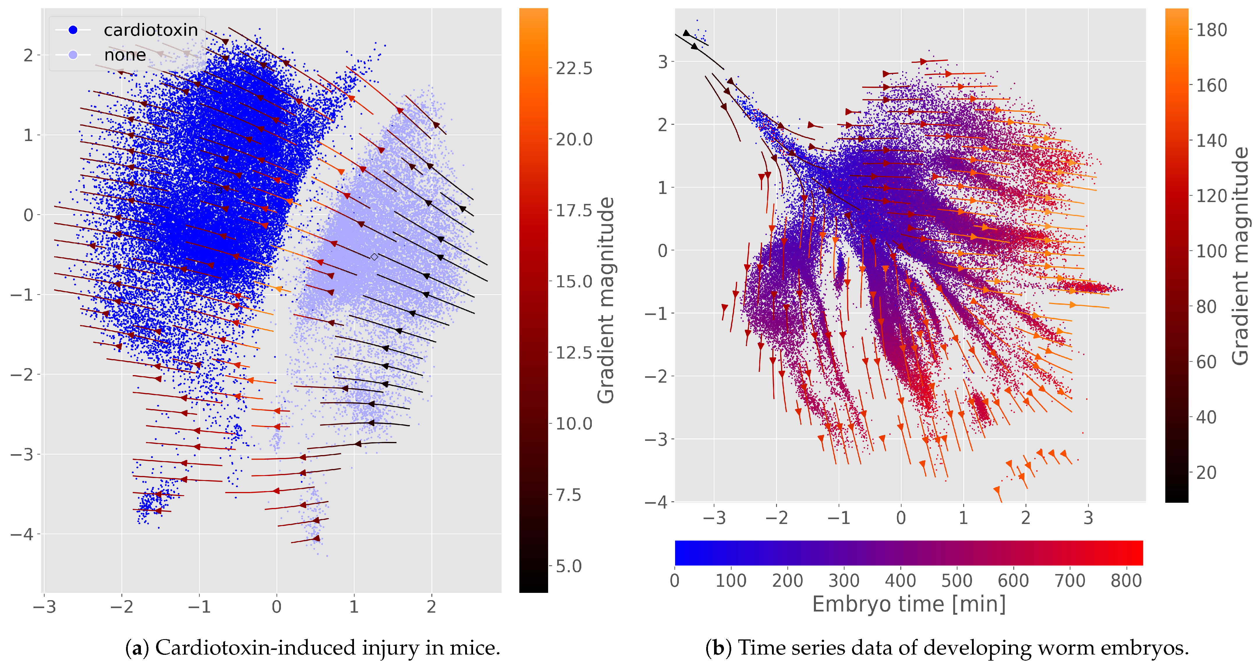 Genes 16 01439 g003 Genes 16 01439 g003
