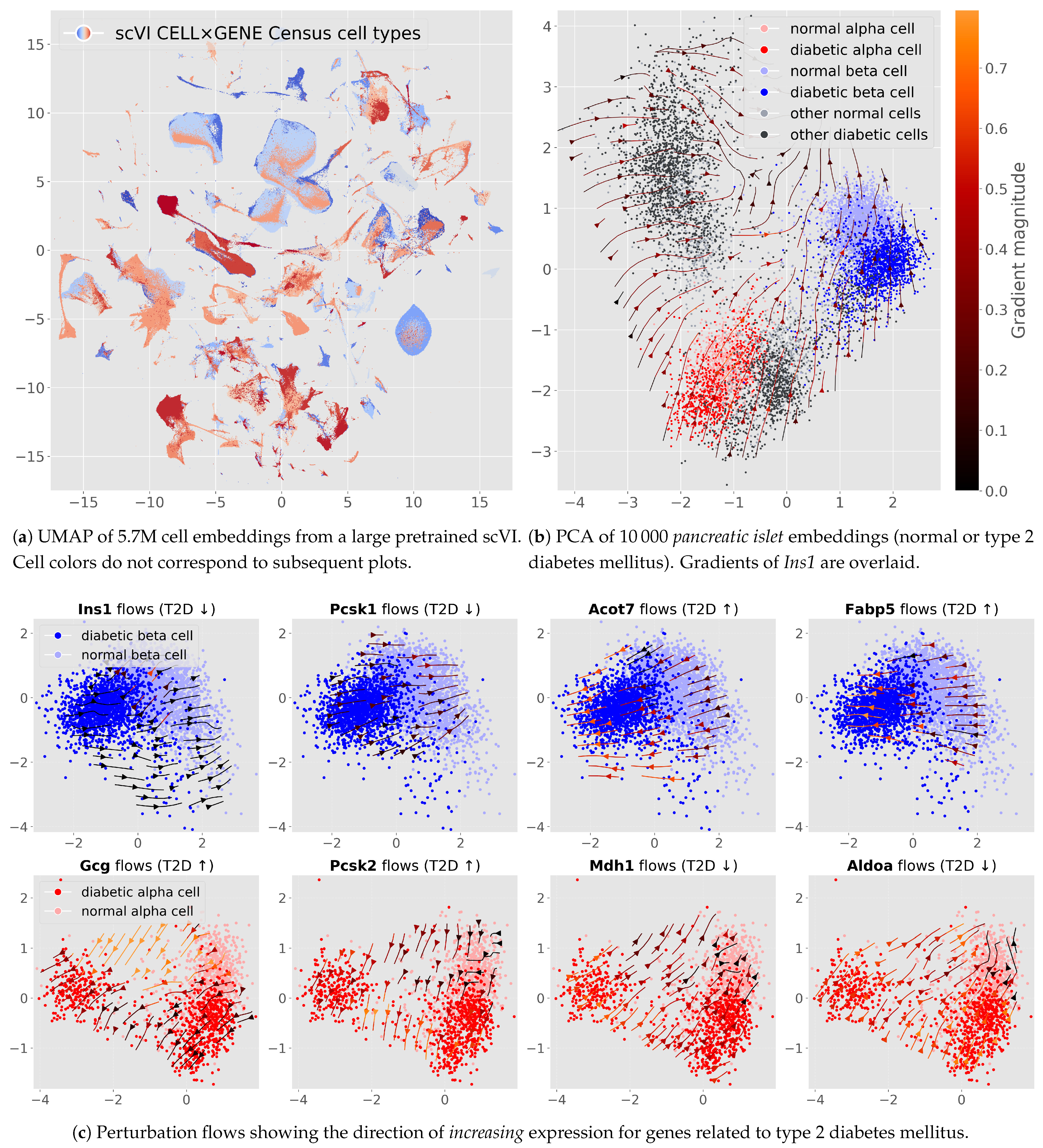 Genes 16 01439 g004 Genes 16 01439 g004