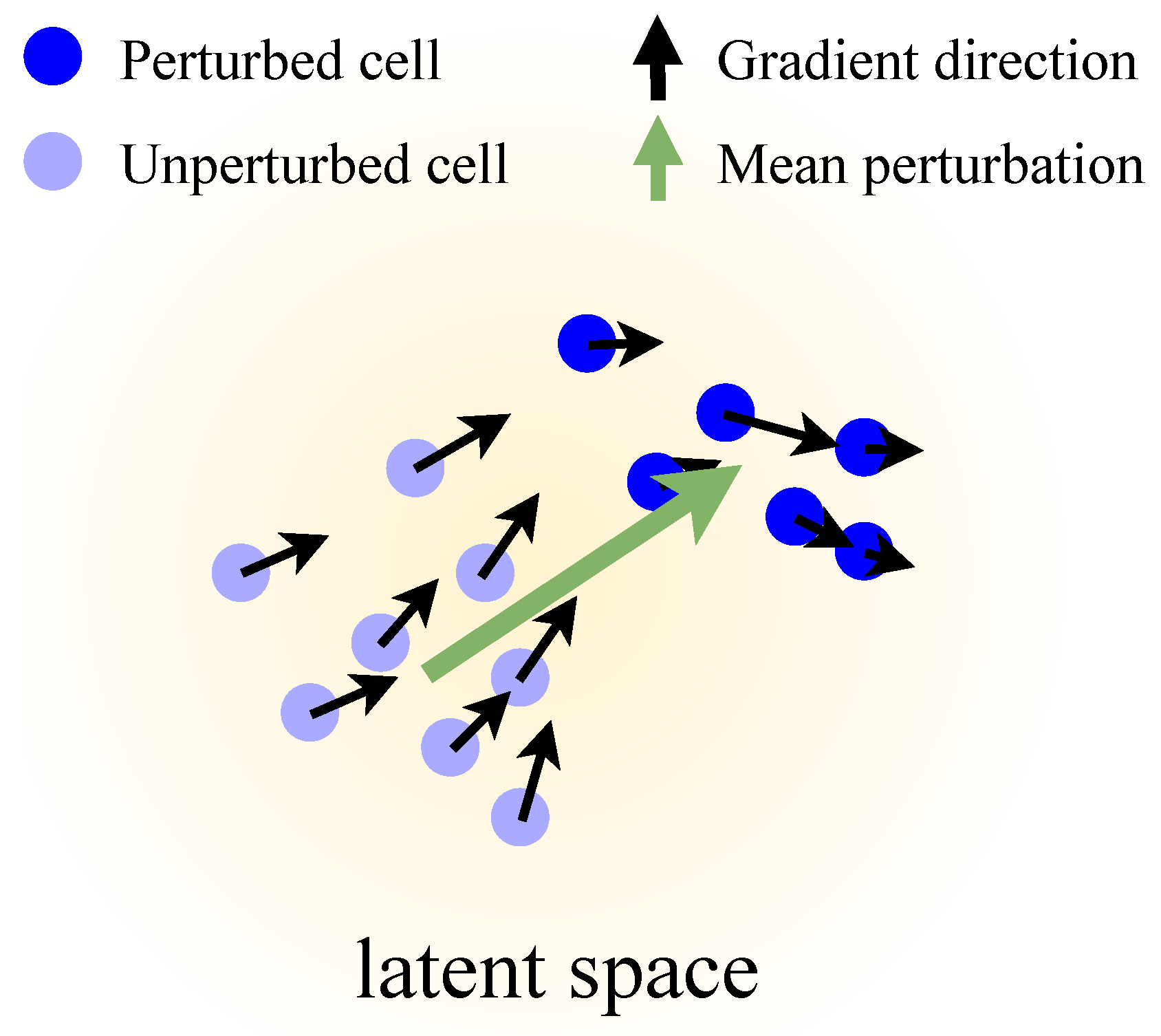 Genes 16 01439 g0a1 Genes 16 01439 g0a1