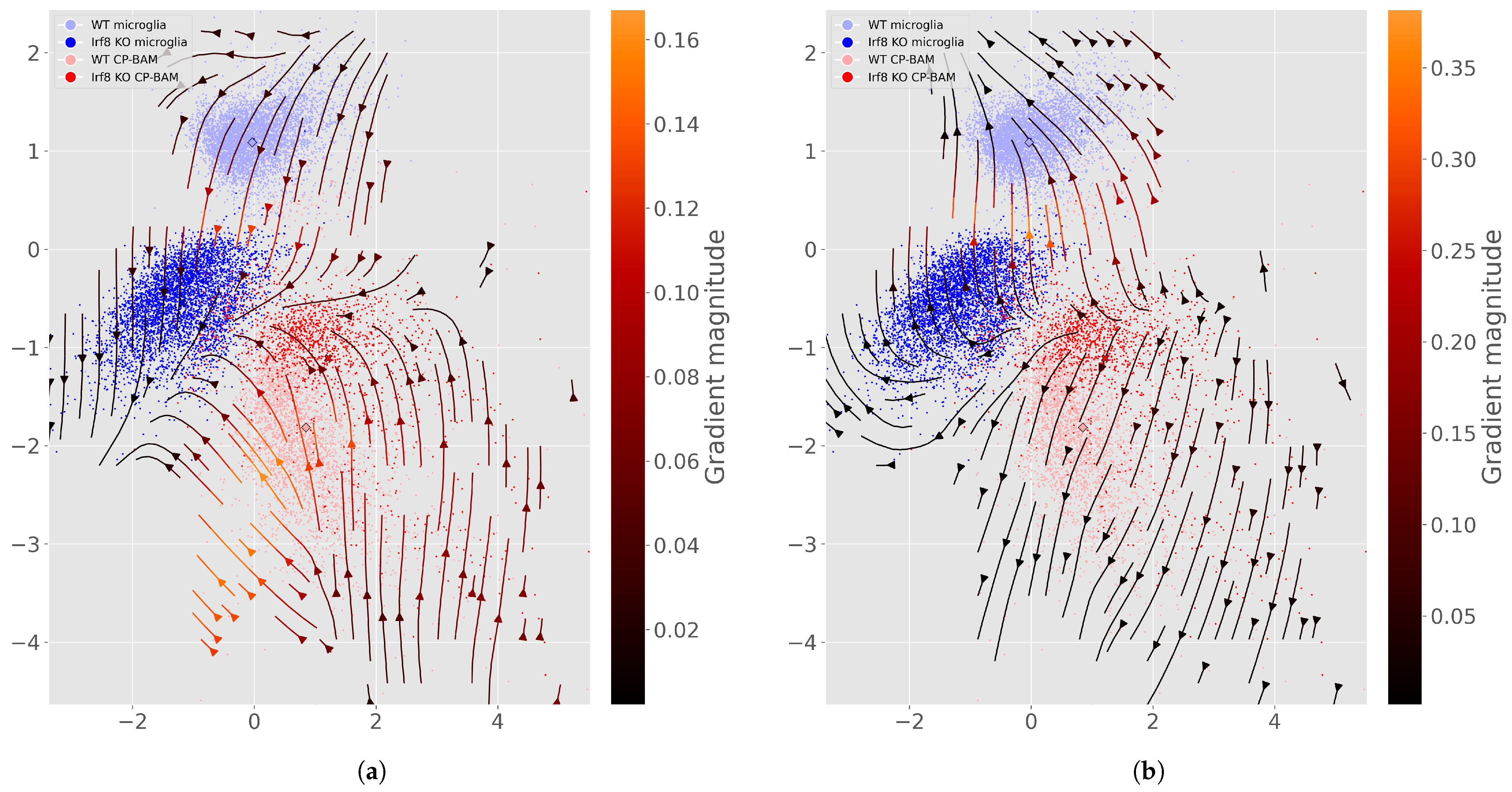 Genes 16 01439 g0a2 Genes 16 01439 g0a2