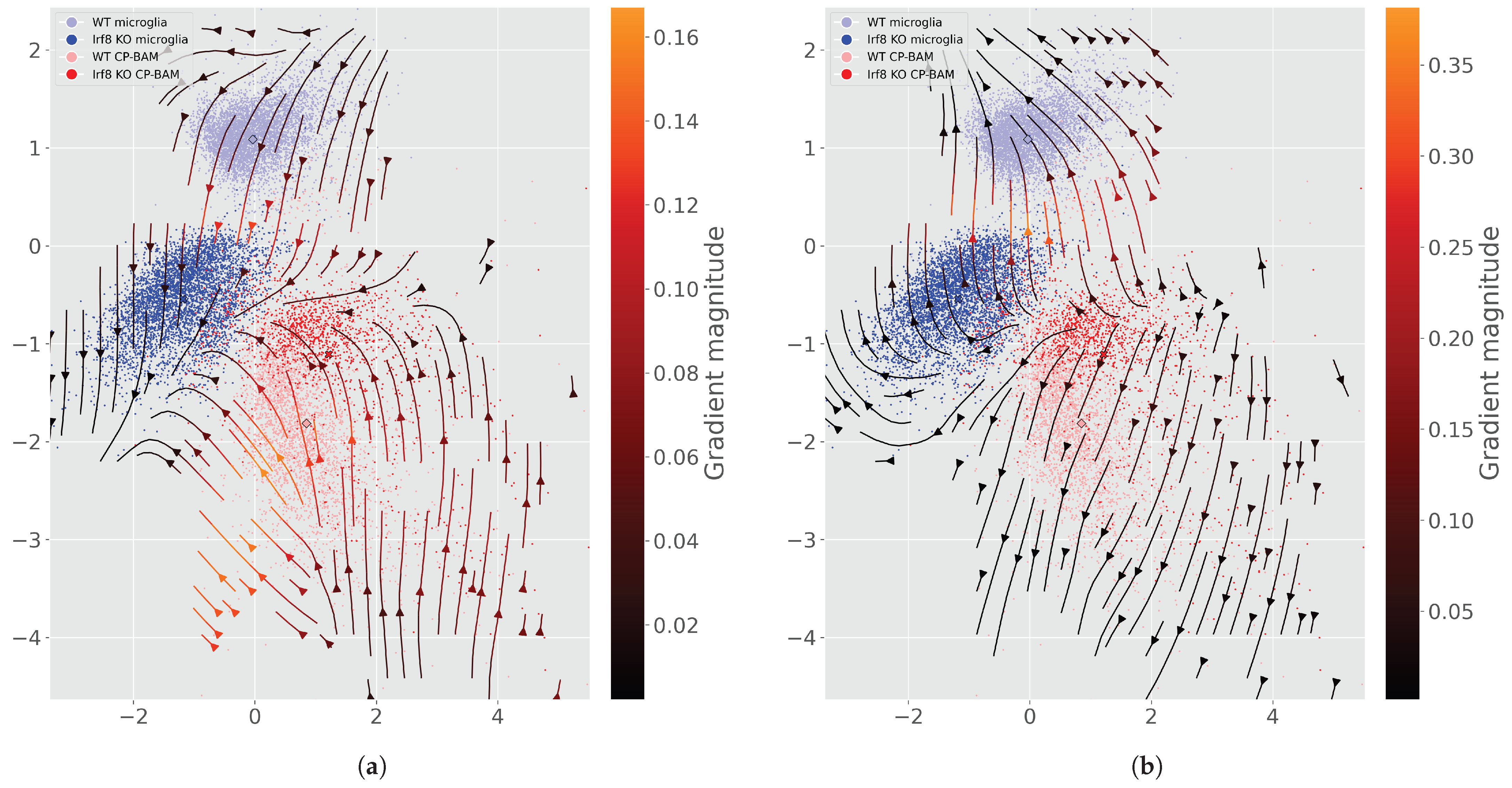 Genes 16 01439 g0a3 Genes 16 01439 g0a3