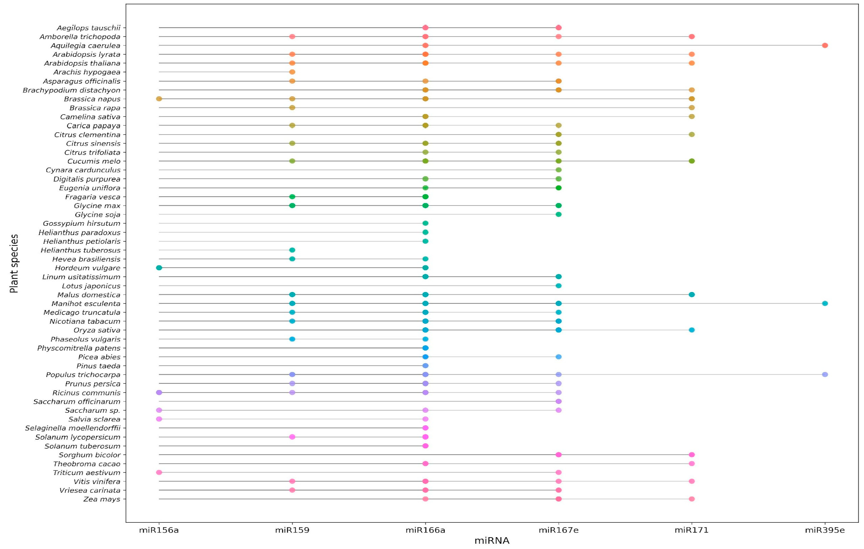 Genes 16 01441 g001 Genes 16 01441 g001
