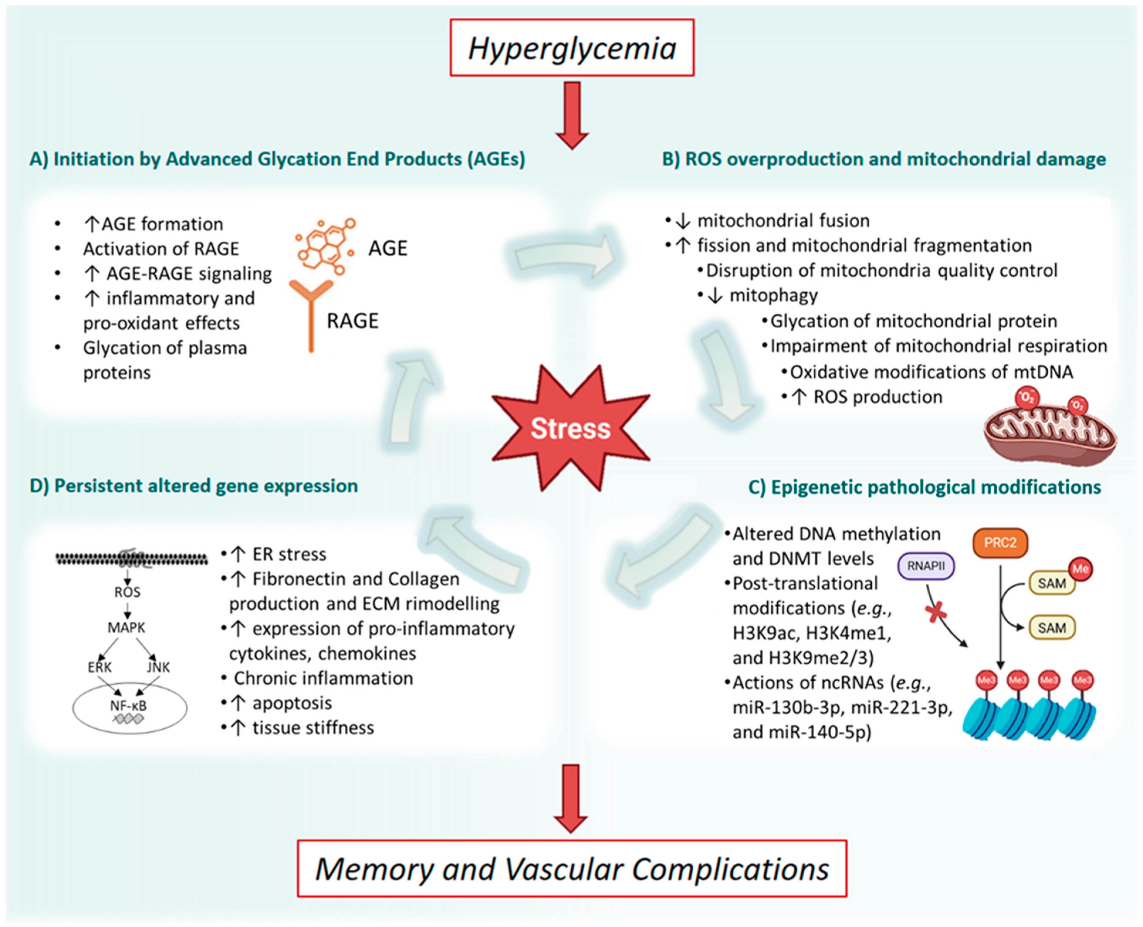 Genes 16 01442 g001 Genes 16 01442 g001