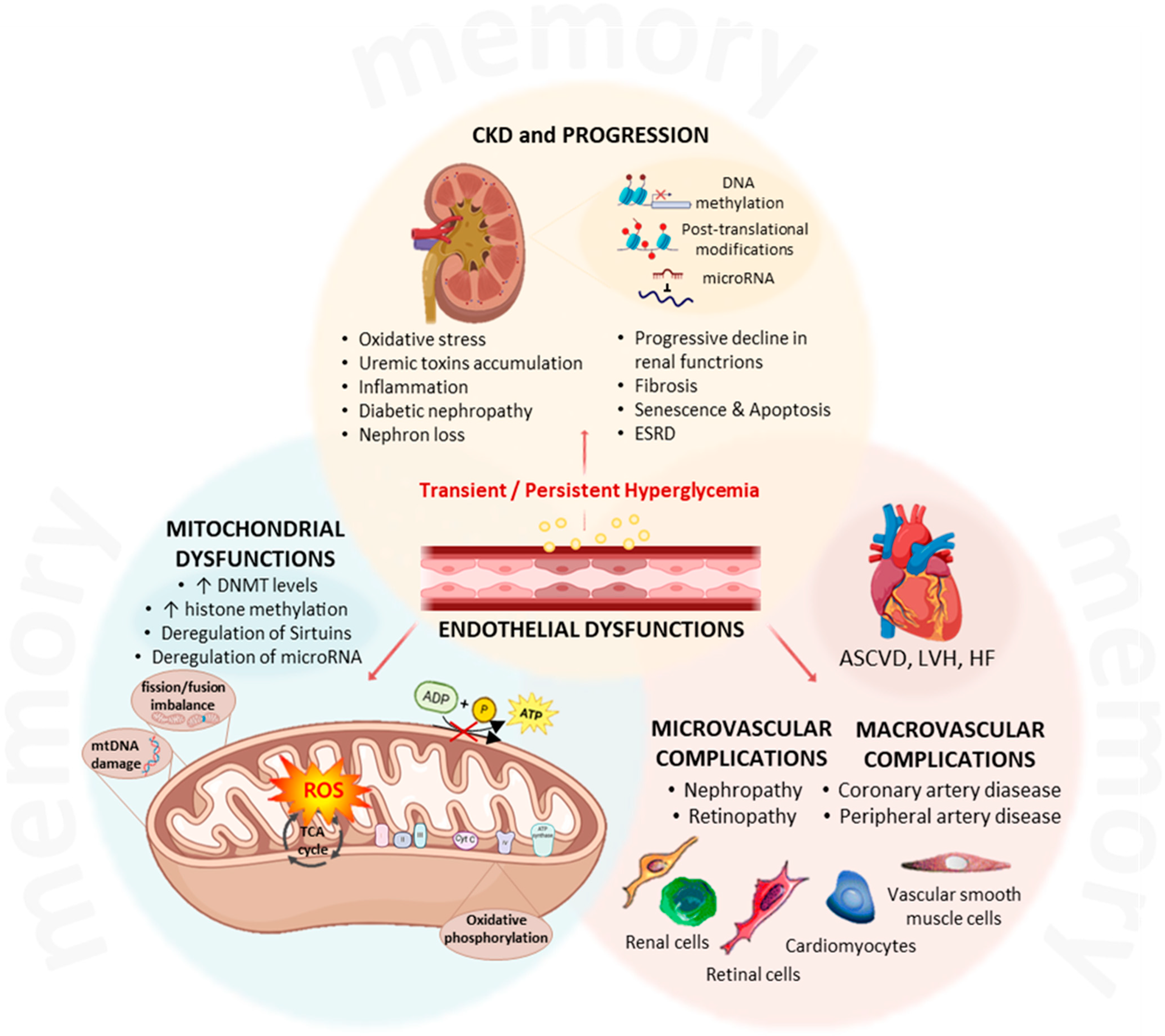 Genes 16 01442 g003 Genes 16 01442 g003