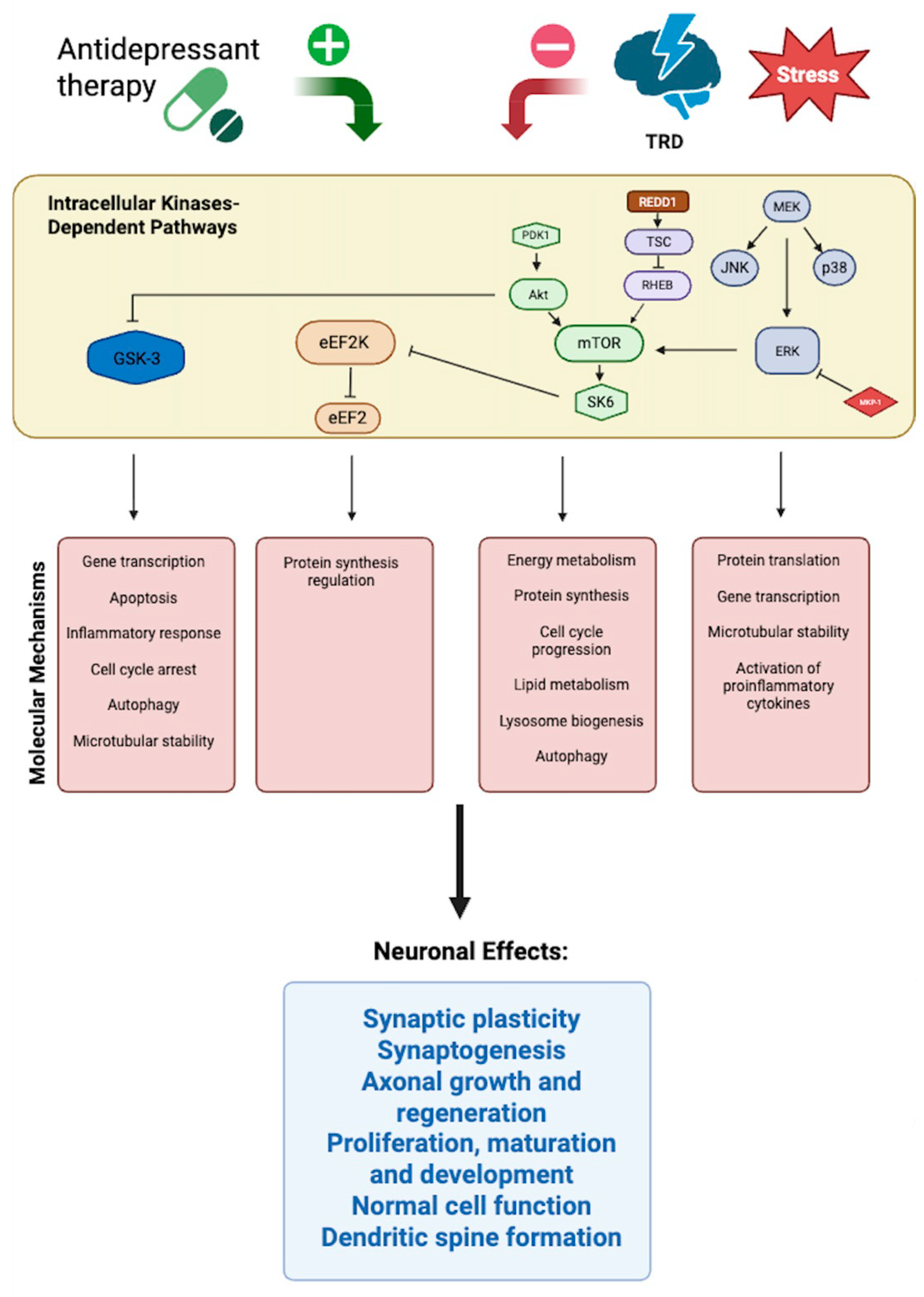 Genes 16 01443 g002 Genes 16 01443 g002