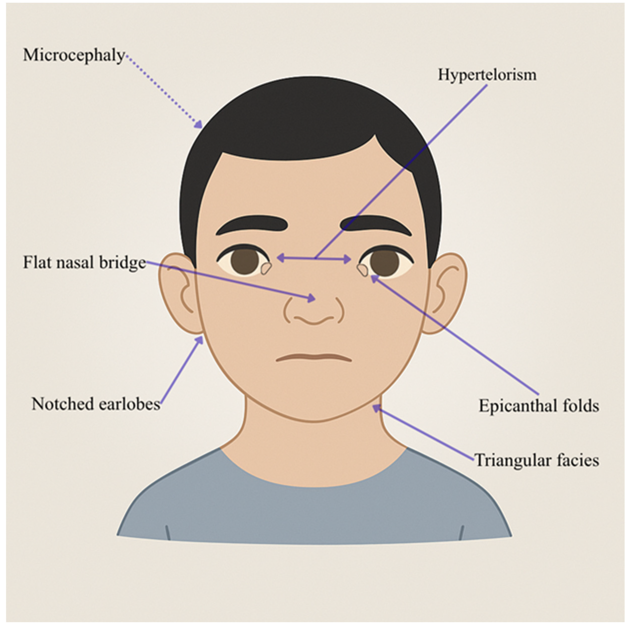 Genes 16 01444 g004 Genes 16 01444 g004