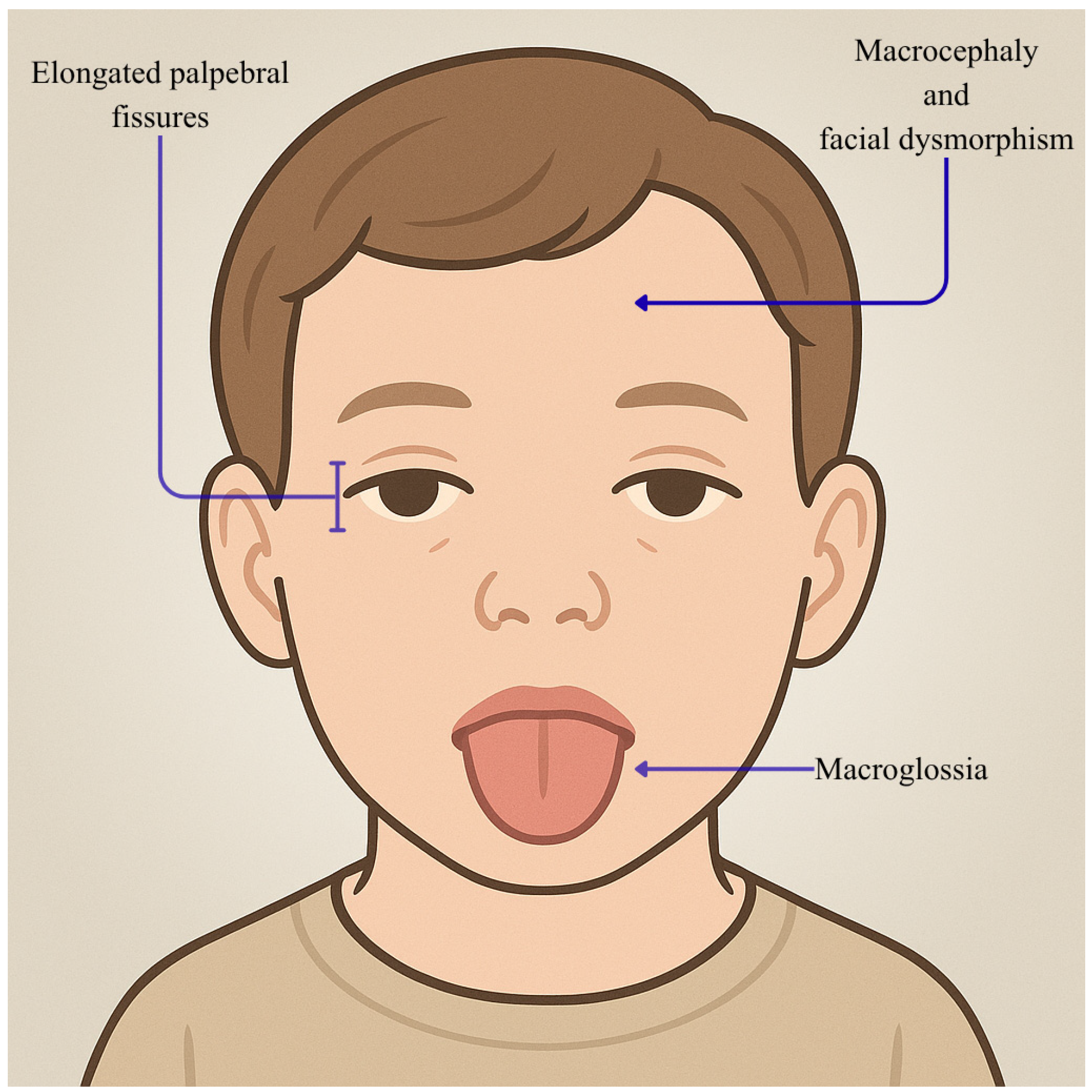 Genes 16 01444 g005 Genes 16 01444 g005