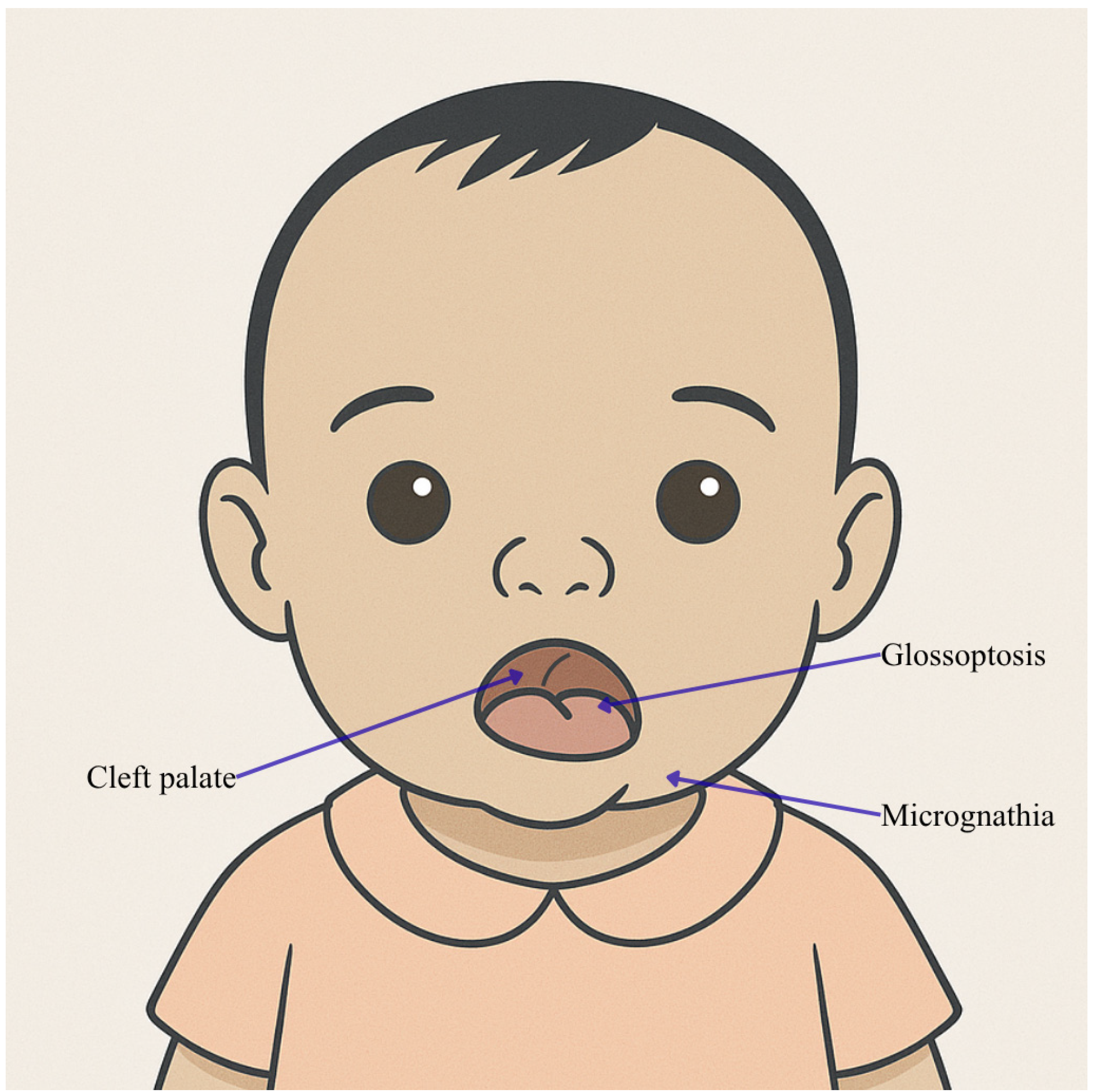 Genes 16 01444 g006 Genes 16 01444 g006