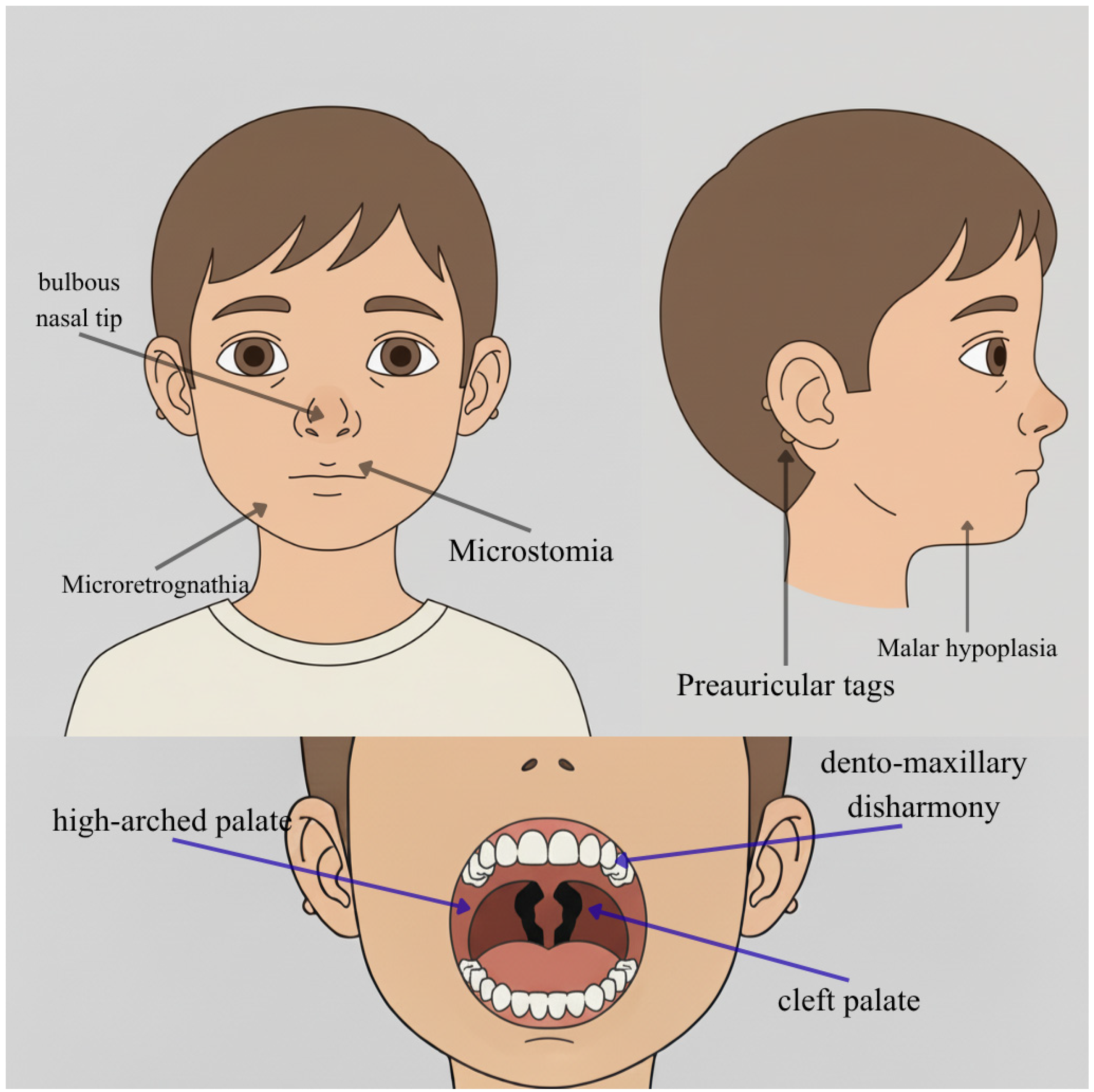Genes 16 01444 g007 Genes 16 01444 g007