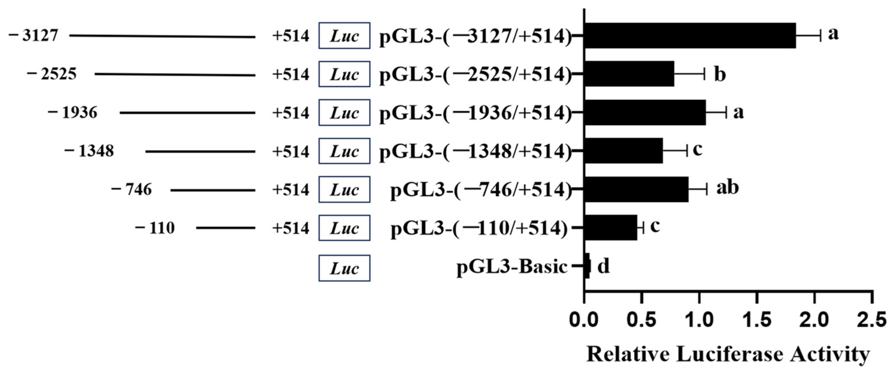 Genes 16 01452 g006 Genes 16 01452 g006