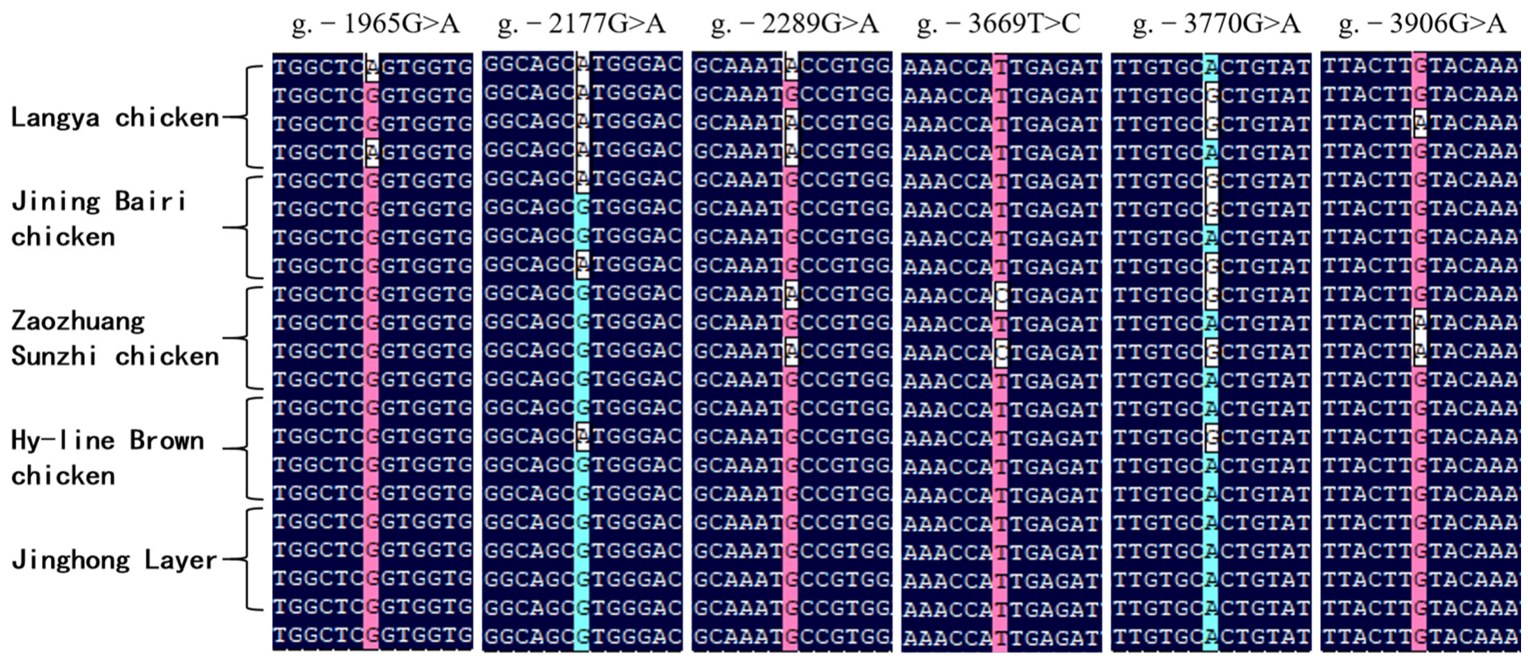 Genes 16 01452 g007 Genes 16 01452 g007