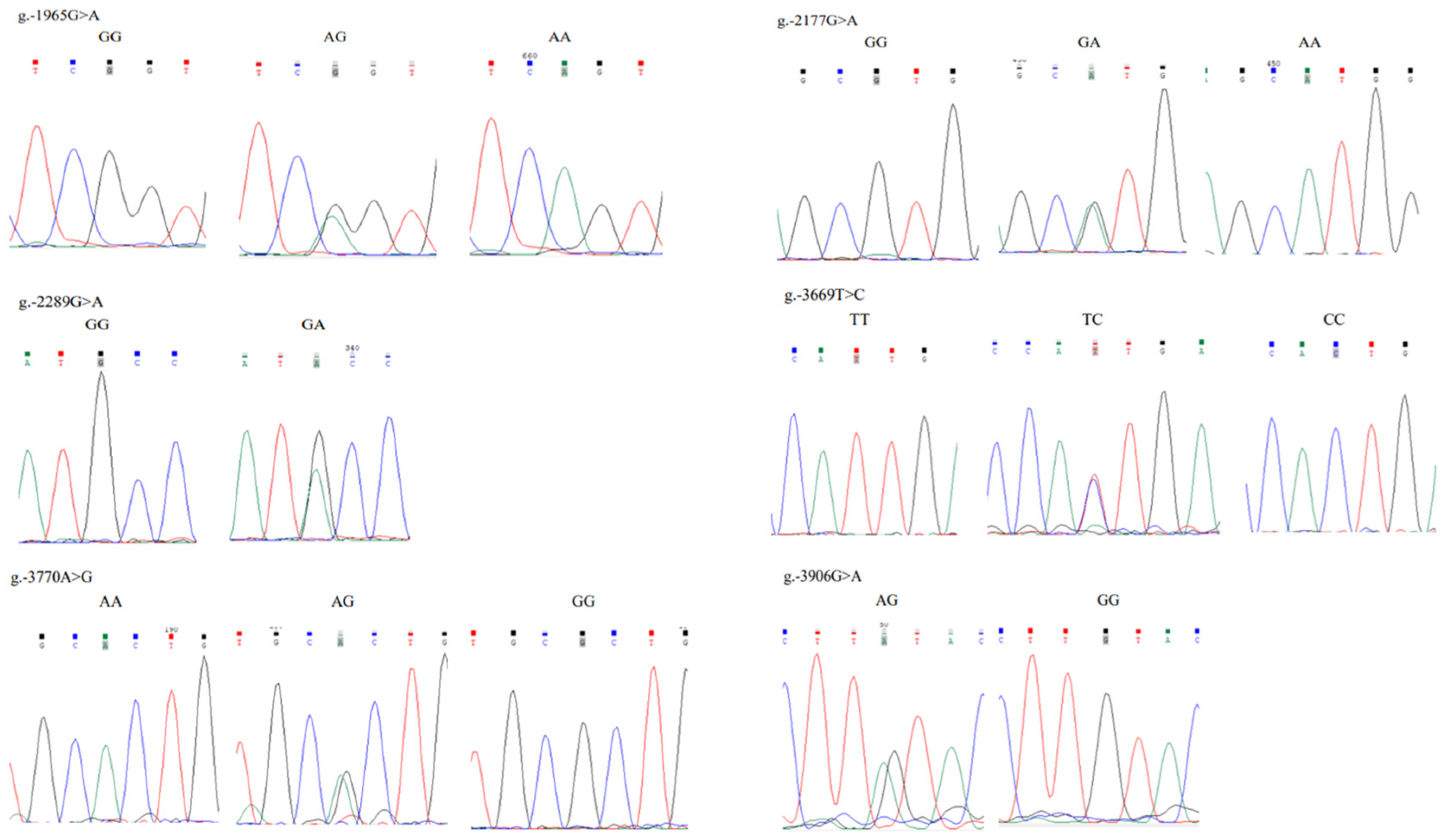 Genes 16 01452 g008 Genes 16 01452 g008