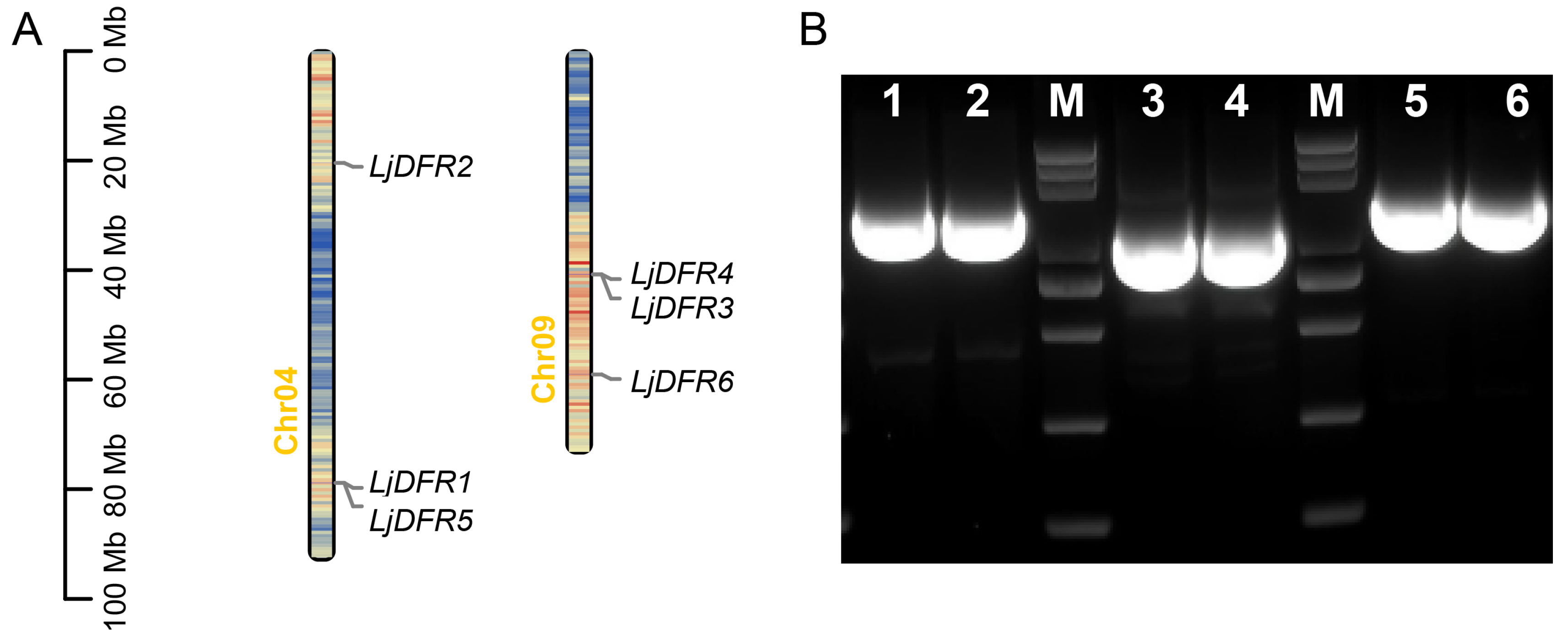Genes 16 01453 g002 Genes 16 01453 g002