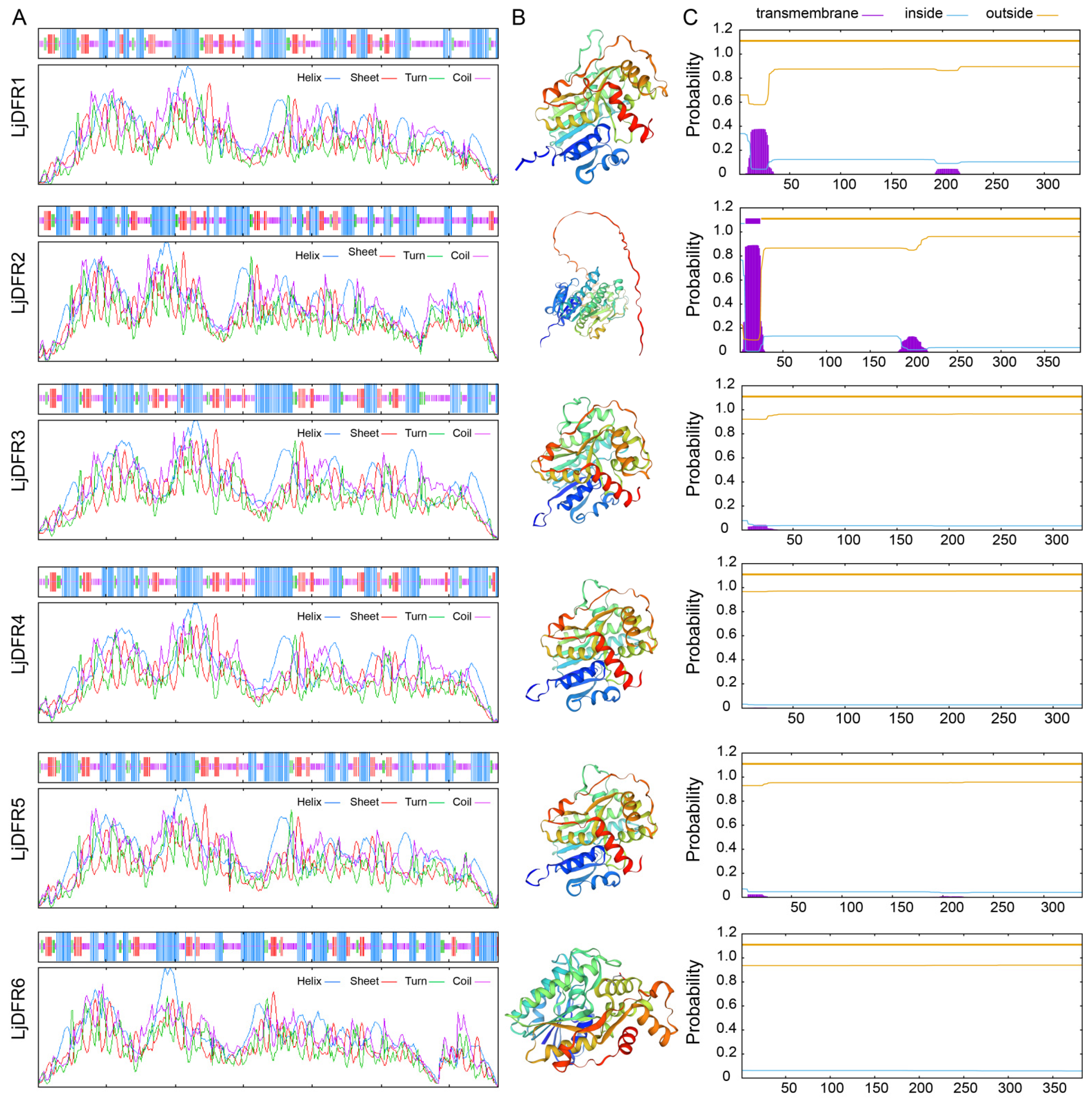 Genes 16 01453 g003 Genes 16 01453 g003