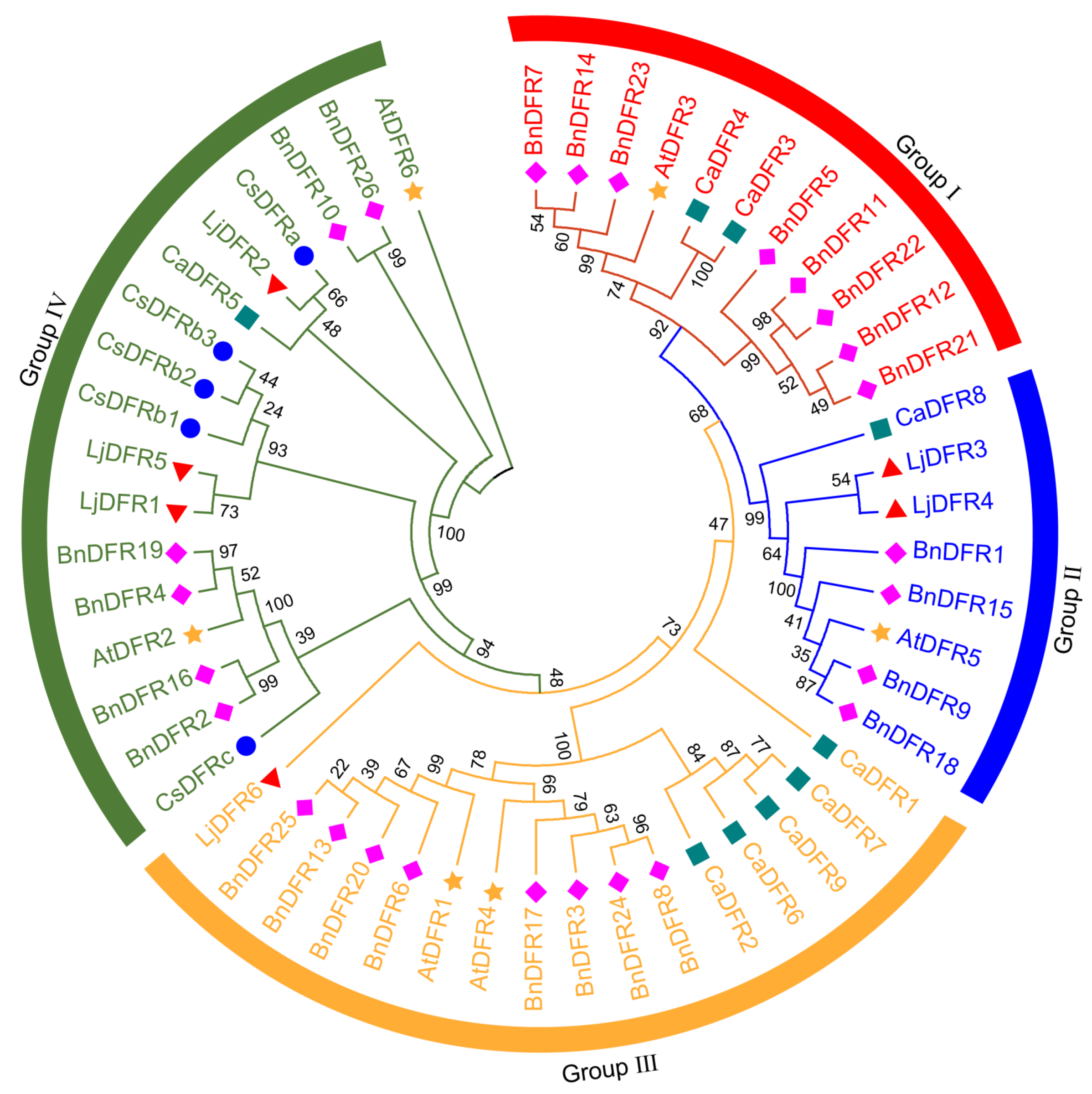 Genes 16 01453 g005 Genes 16 01453 g005