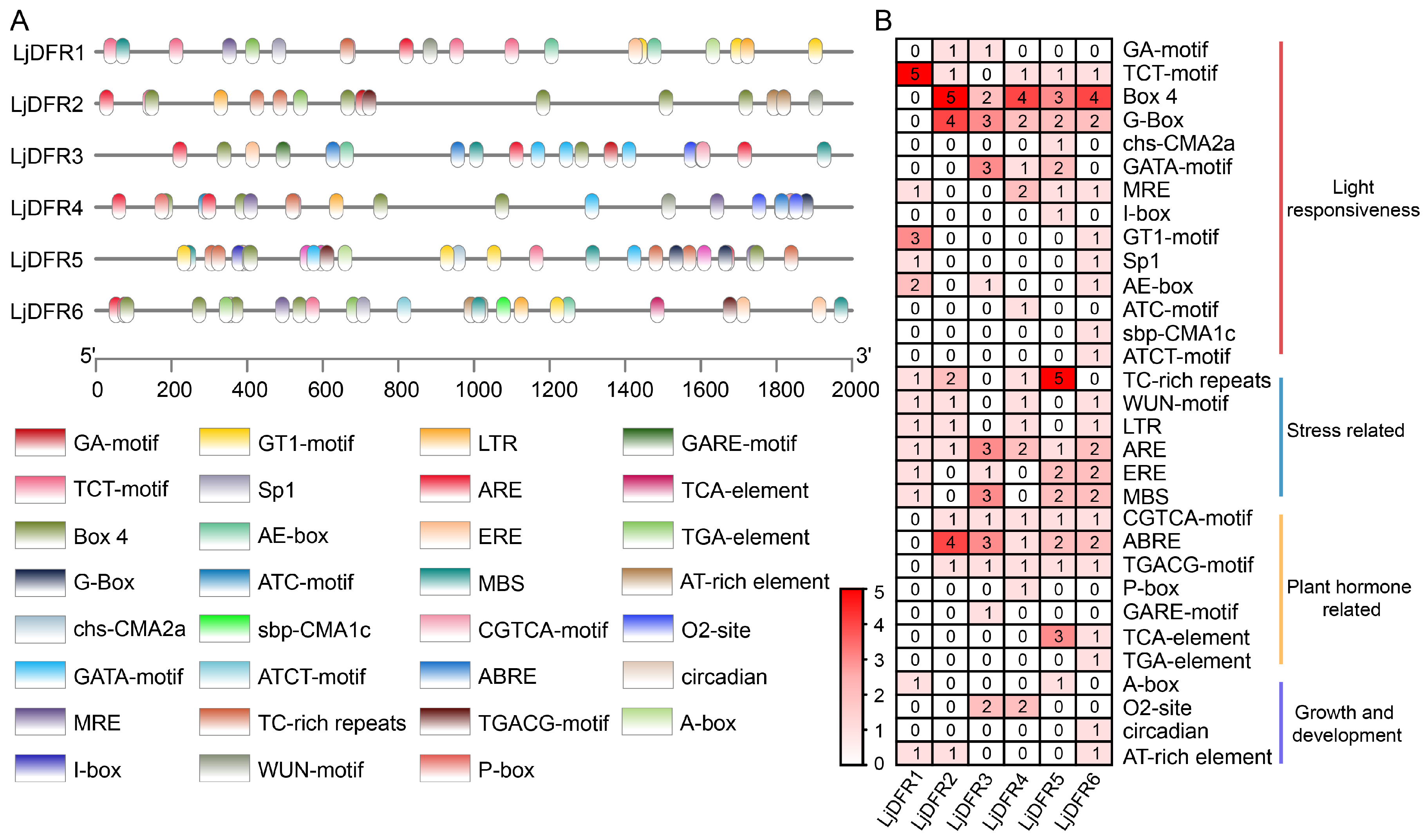 Genes 16 01453 g007 Genes 16 01453 g007