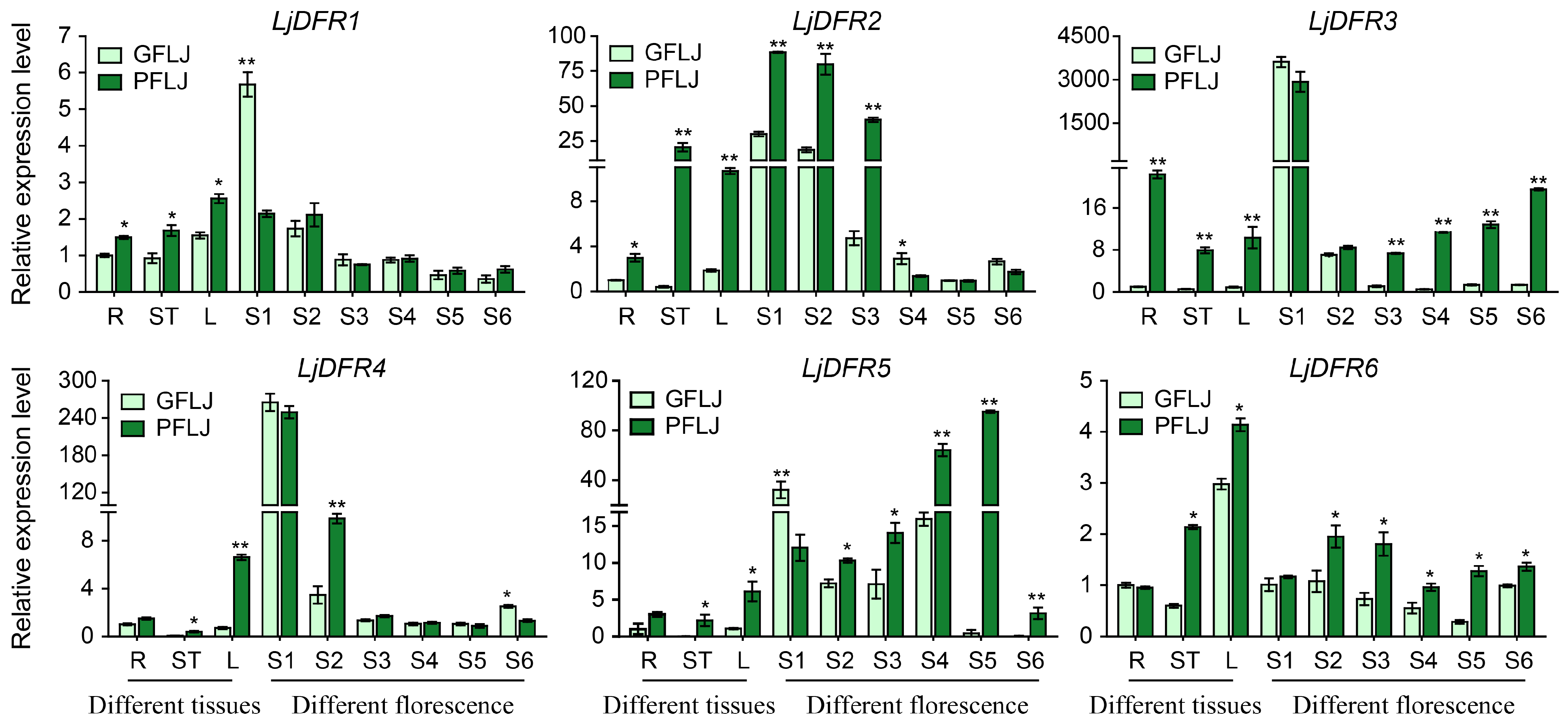 Genes 16 01453 g008 Genes 16 01453 g008