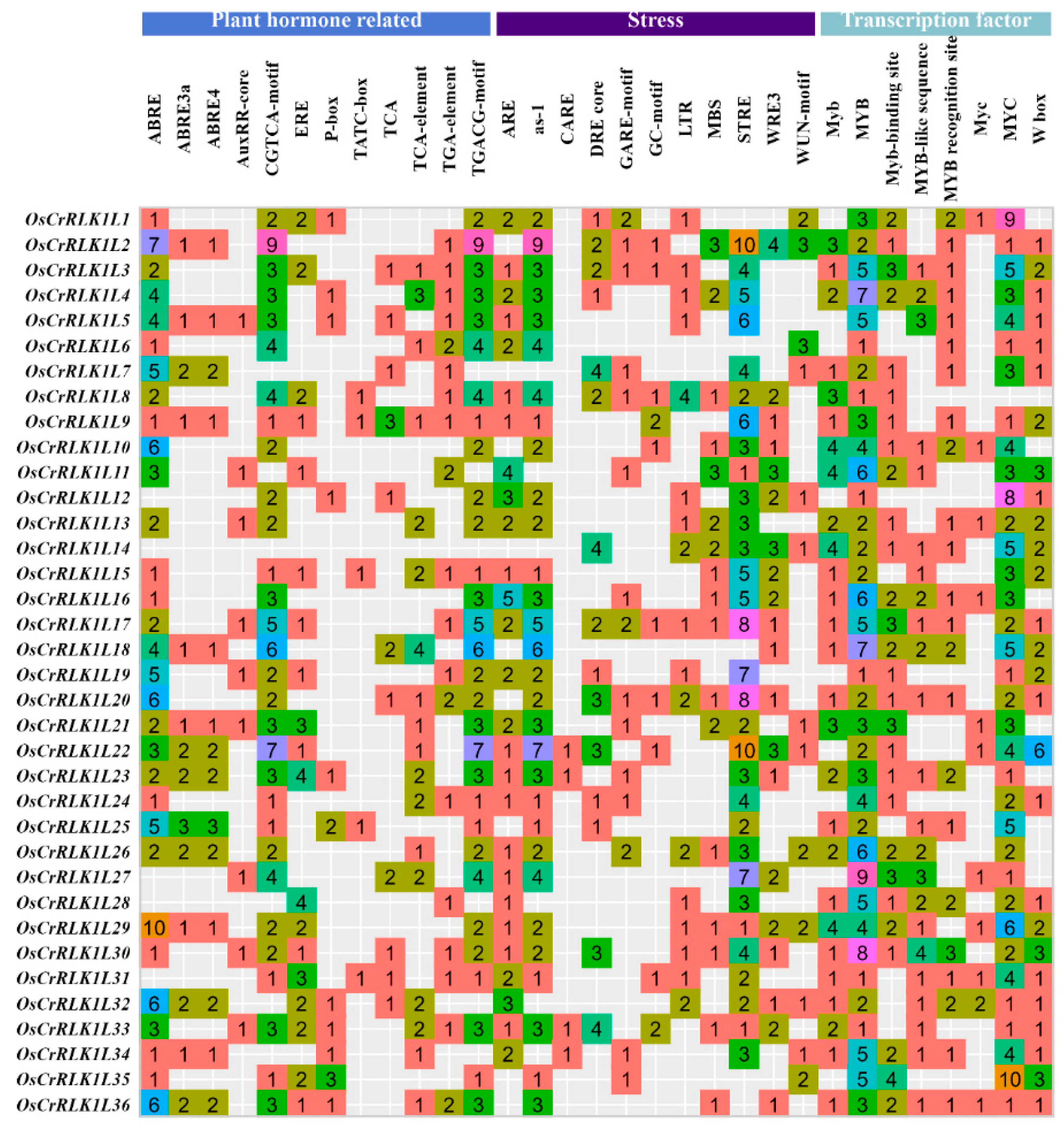 Genes 16 01454 g004