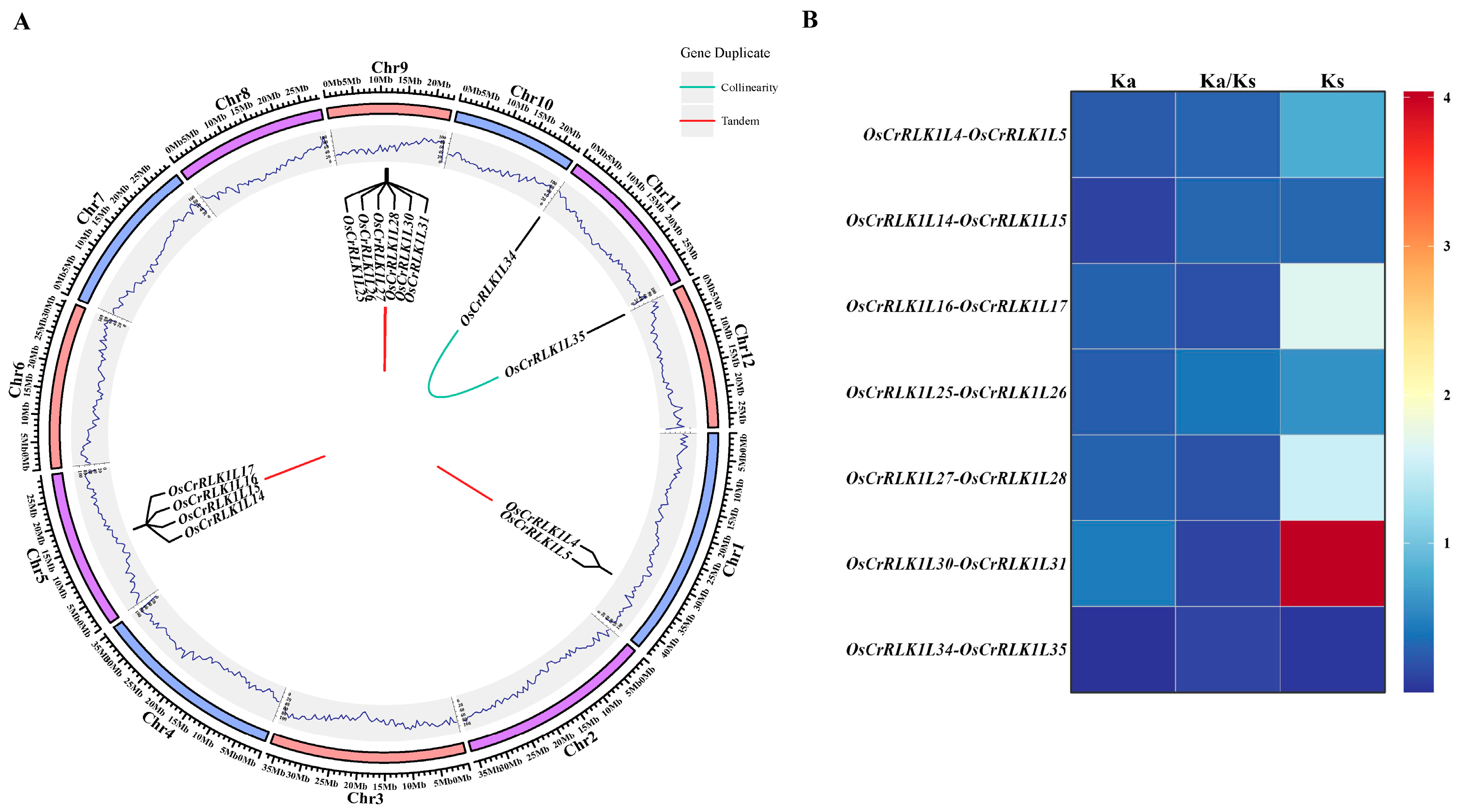 Genes 16 01454 g005