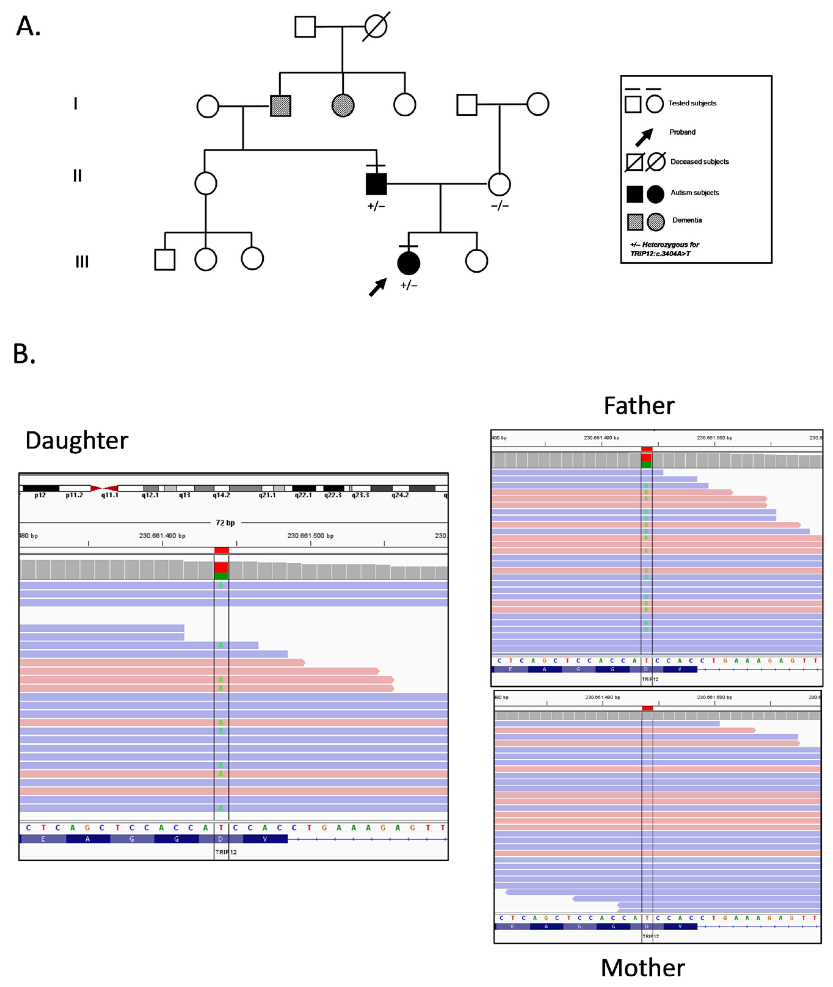 Genes 16 01456 g001 Genes 16 01456 g001