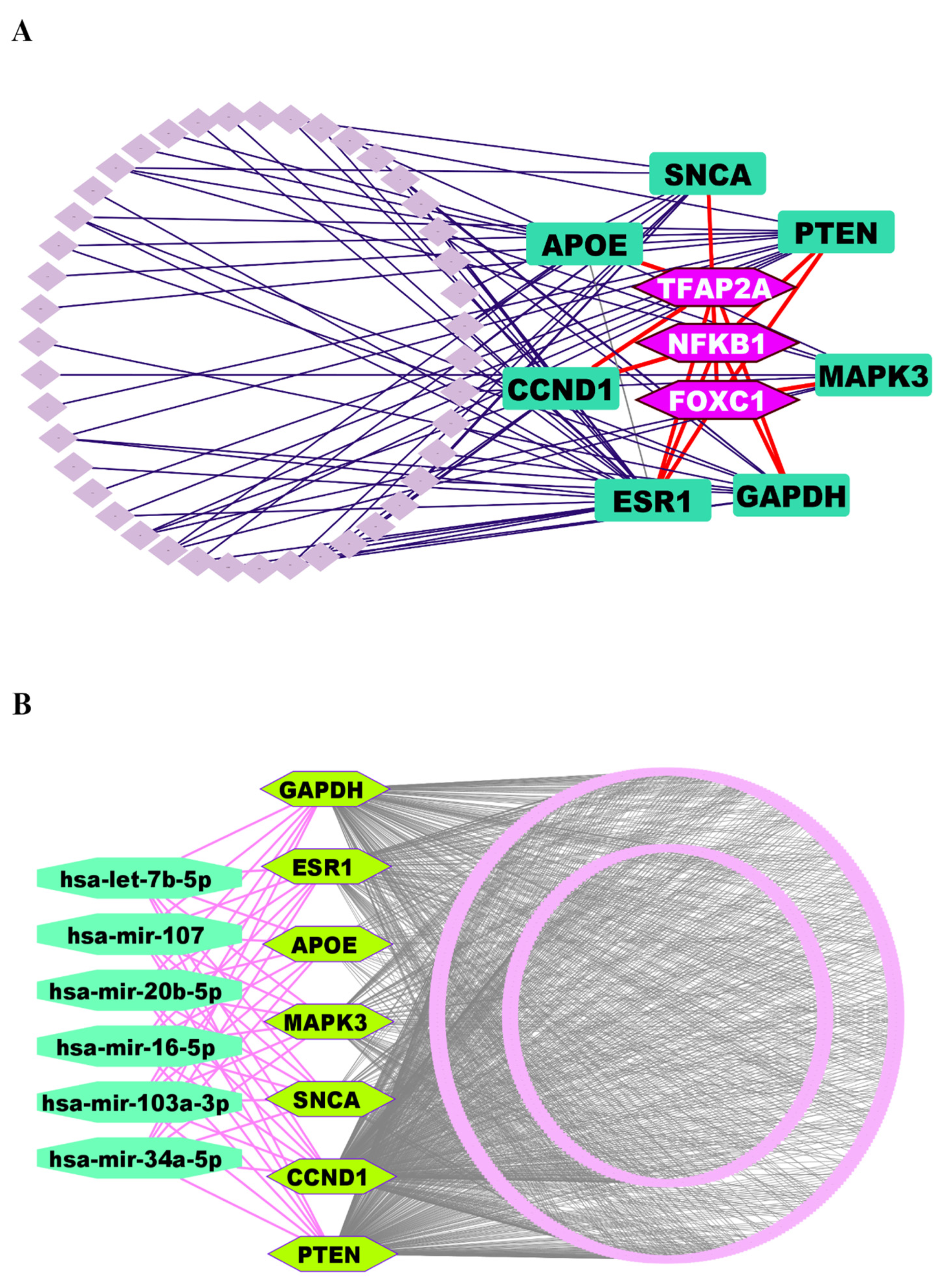 Genes 16 01459 g004