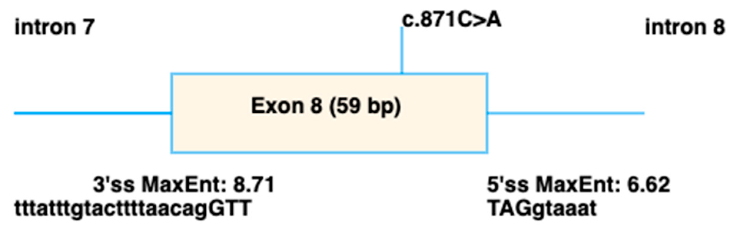 Genes 16 01474 g006